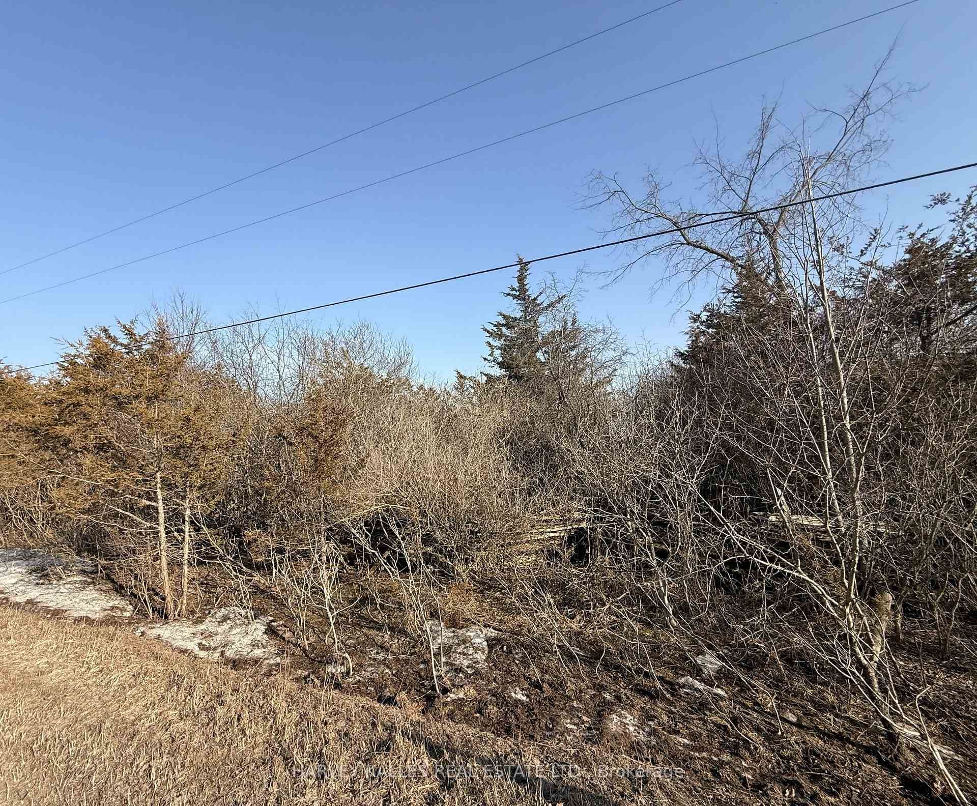 Lot 63 Oram Road photo 13