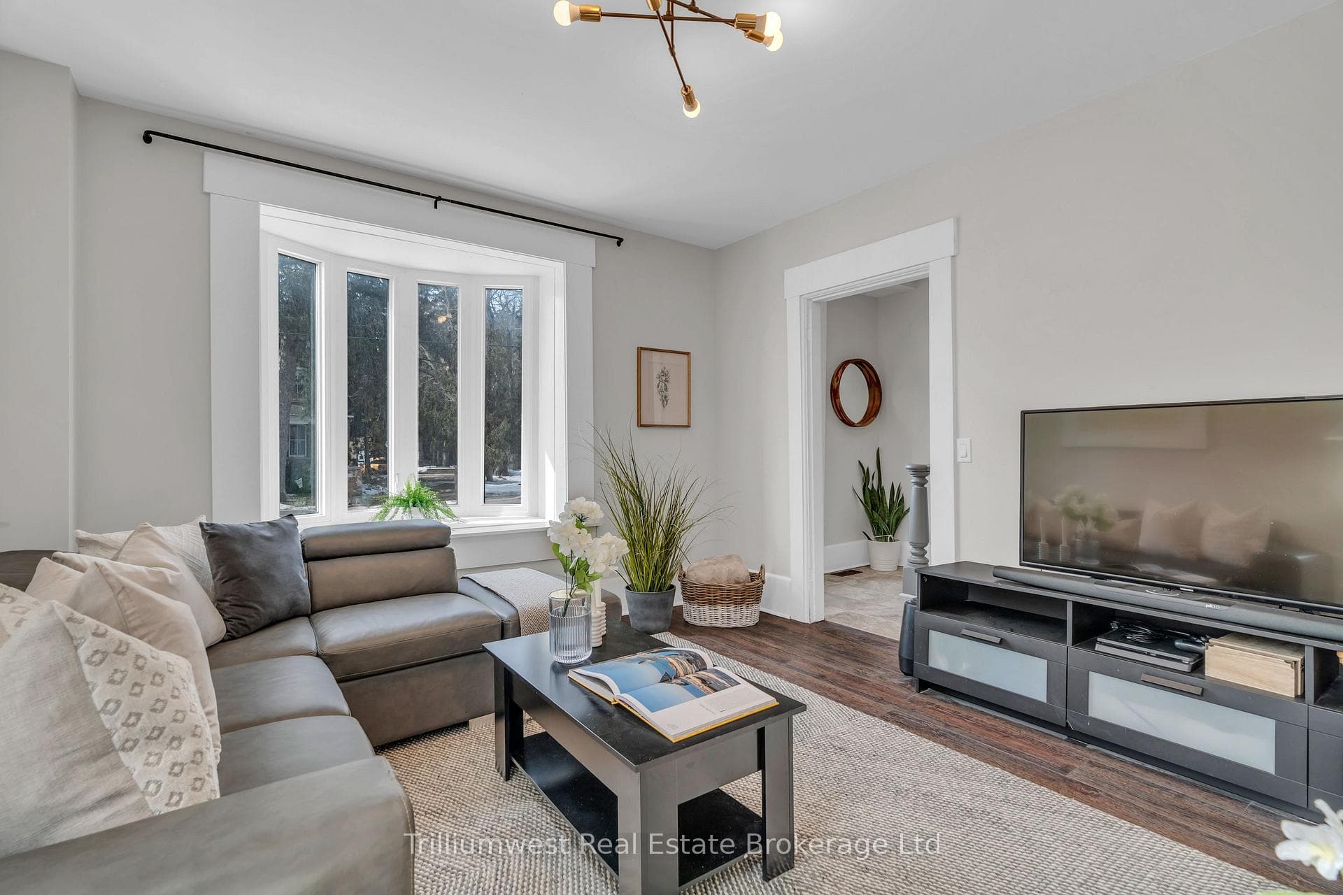 131 Waterloo Street photo 12