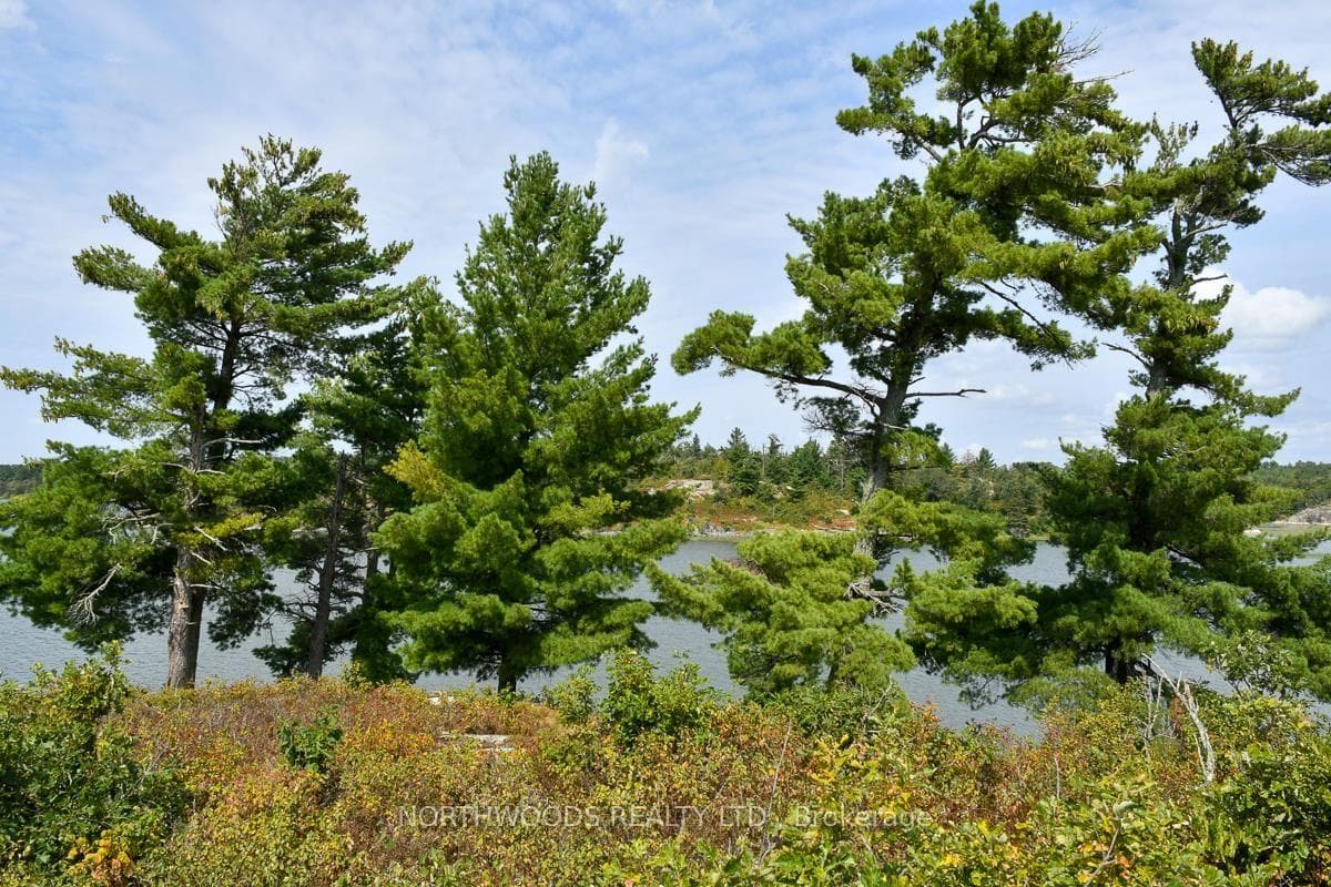 Sabaskong Bay Island G2217 photo 6