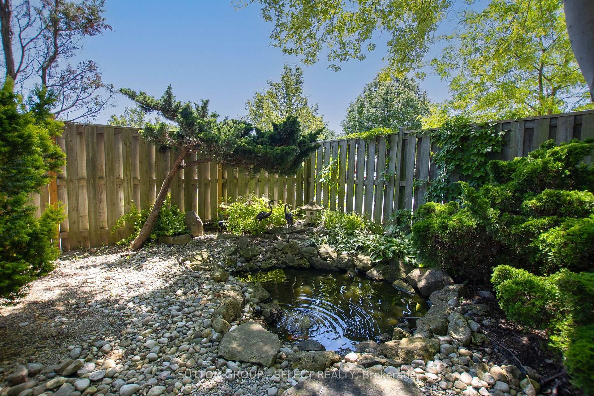828 Shelborne Street photo 32