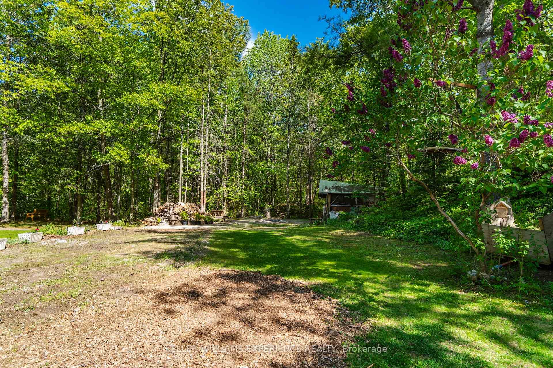 181 Park Road photo 5