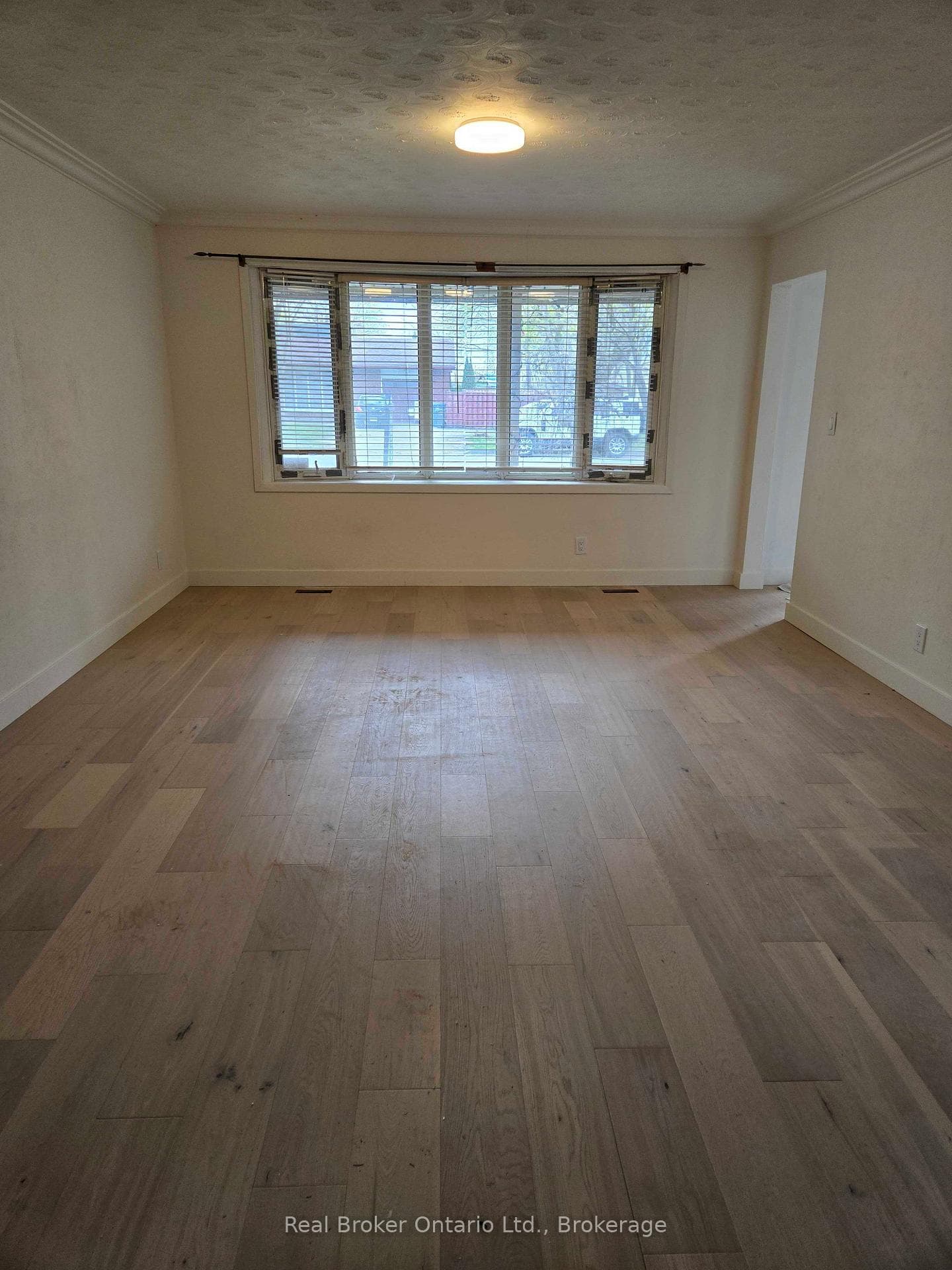 61 Vanier Drive Unit Main Level photo 2