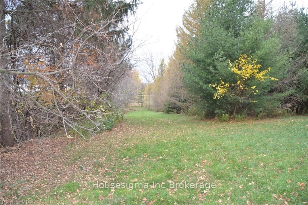 81 CLARKE Street photo 28