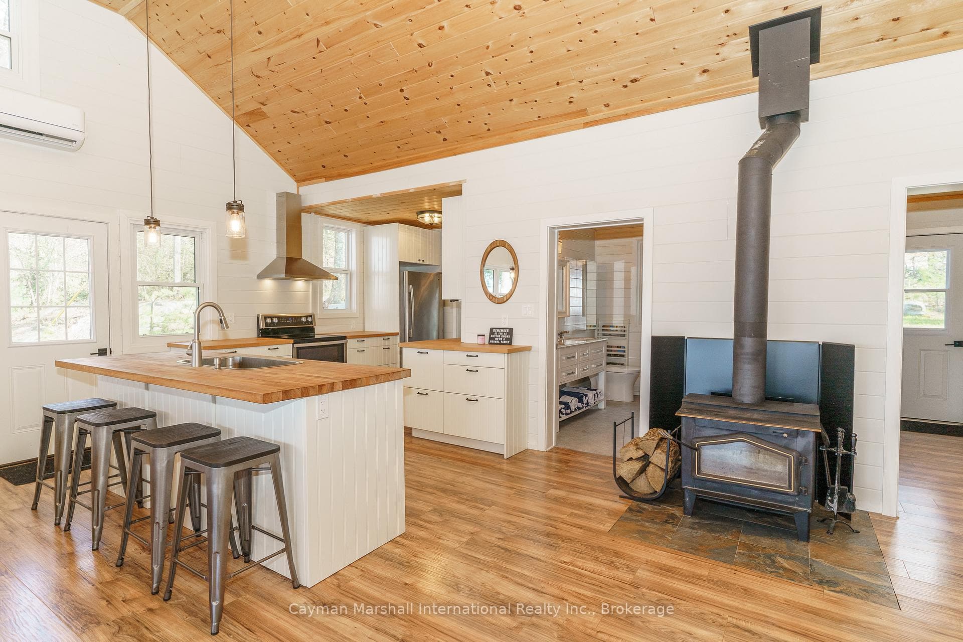 99 Bala Park Island photo 4
