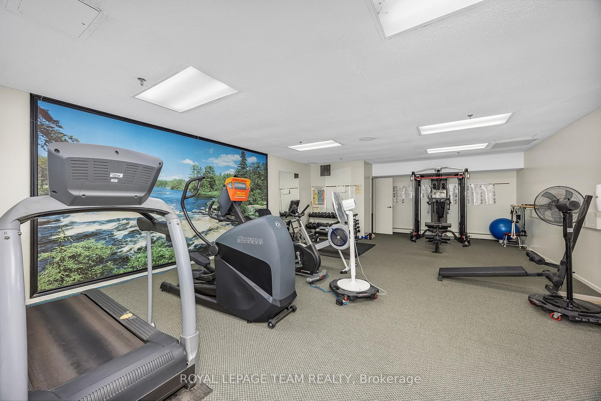 415 Greenview Avenue Unit 106 photo 37
