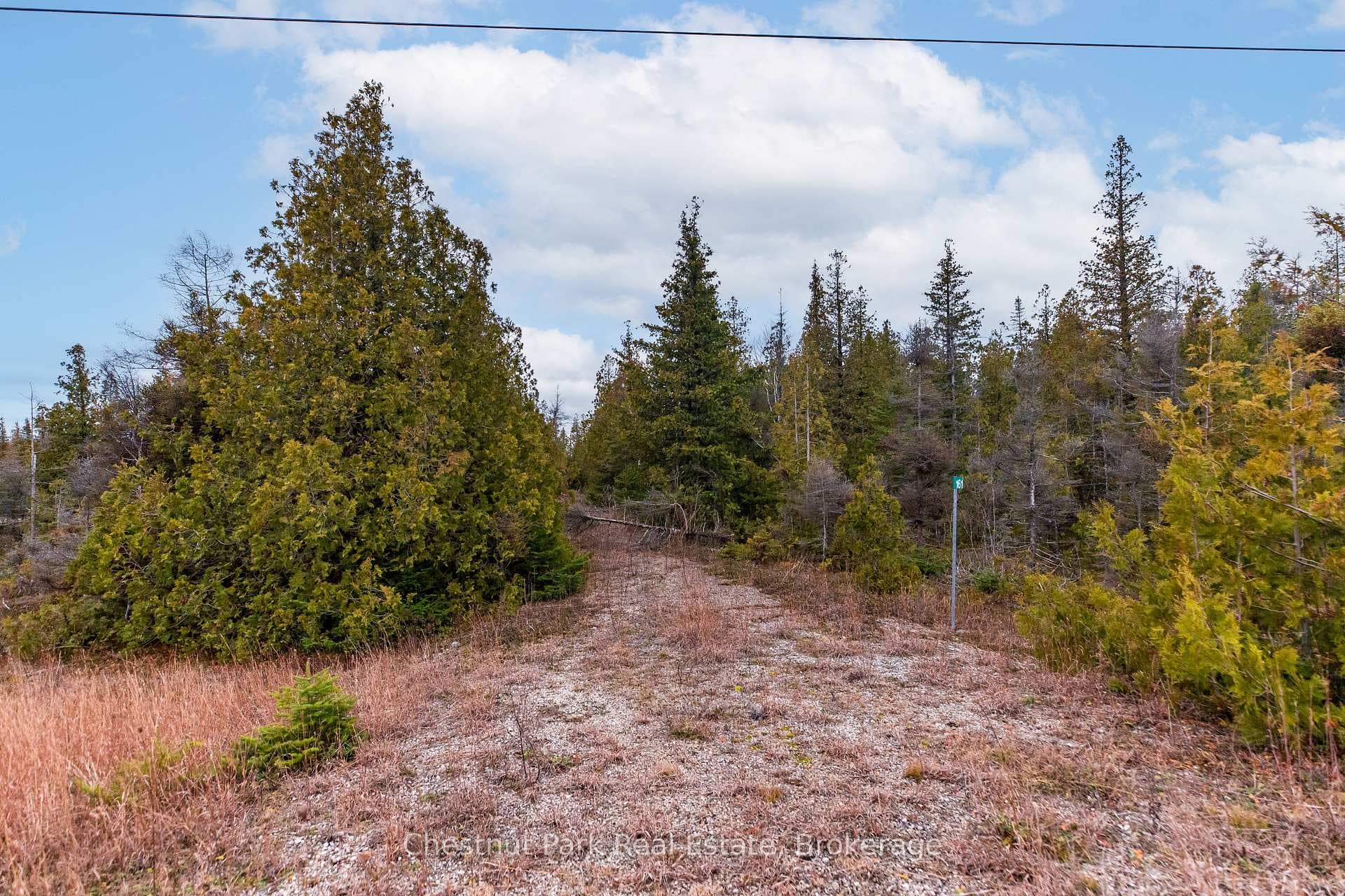 N/A Little Pine Drive photo 3