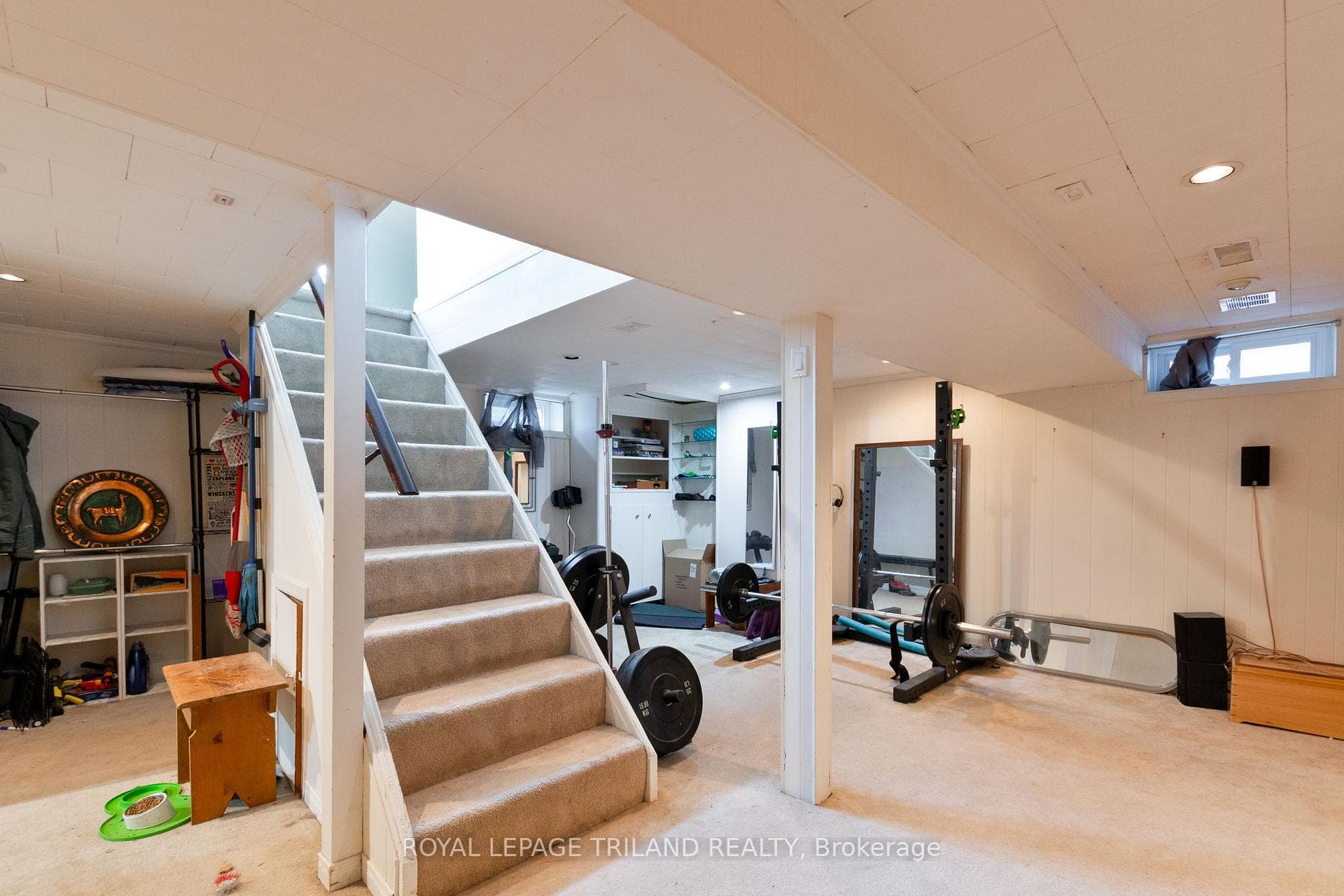 208 Trowbridge Avenue photo 21