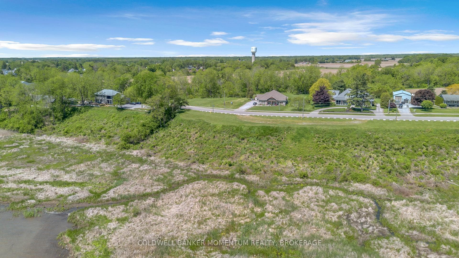 71 Wolven Street photo 7
