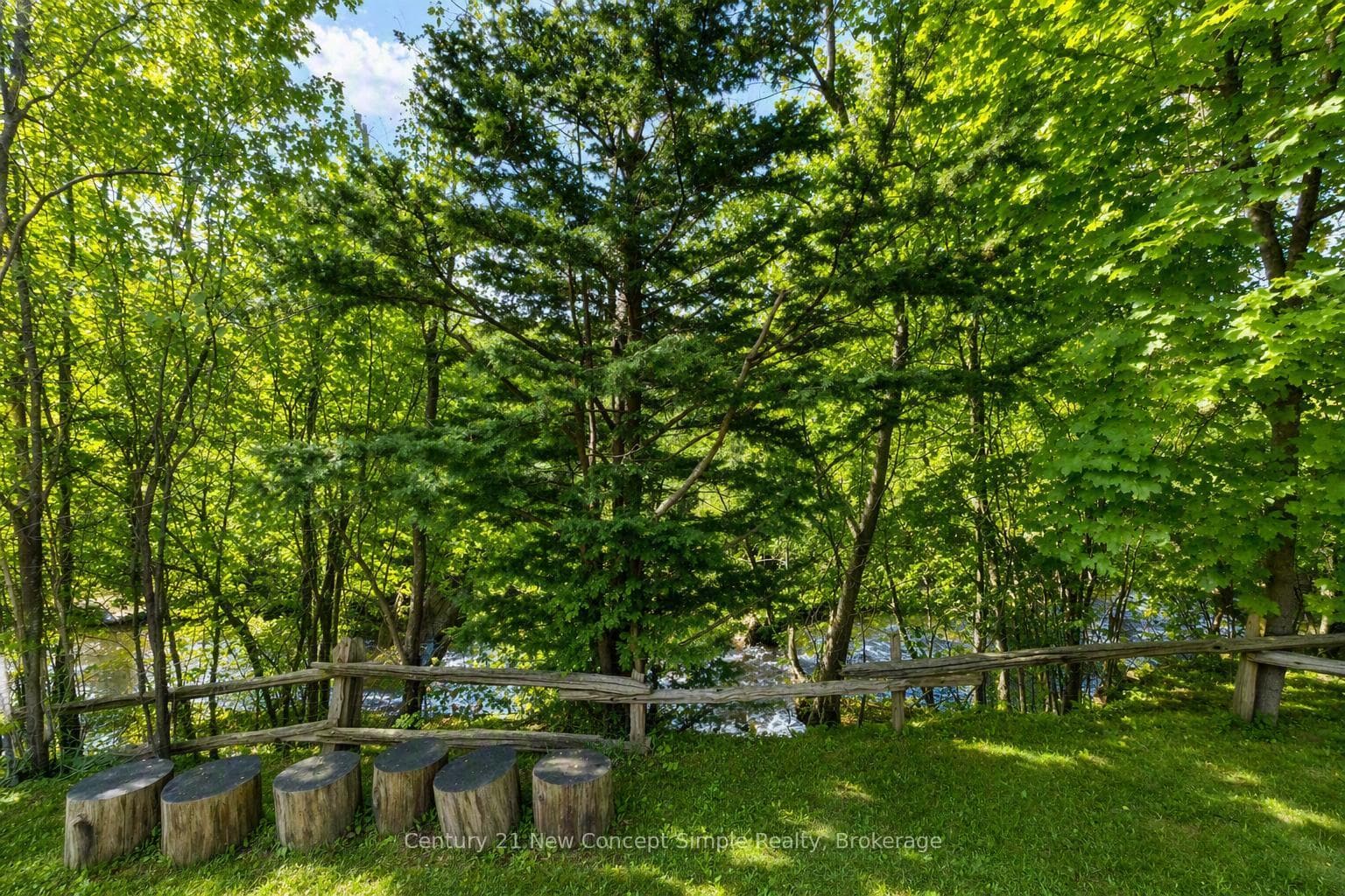 56 Machell Avenue photo 40