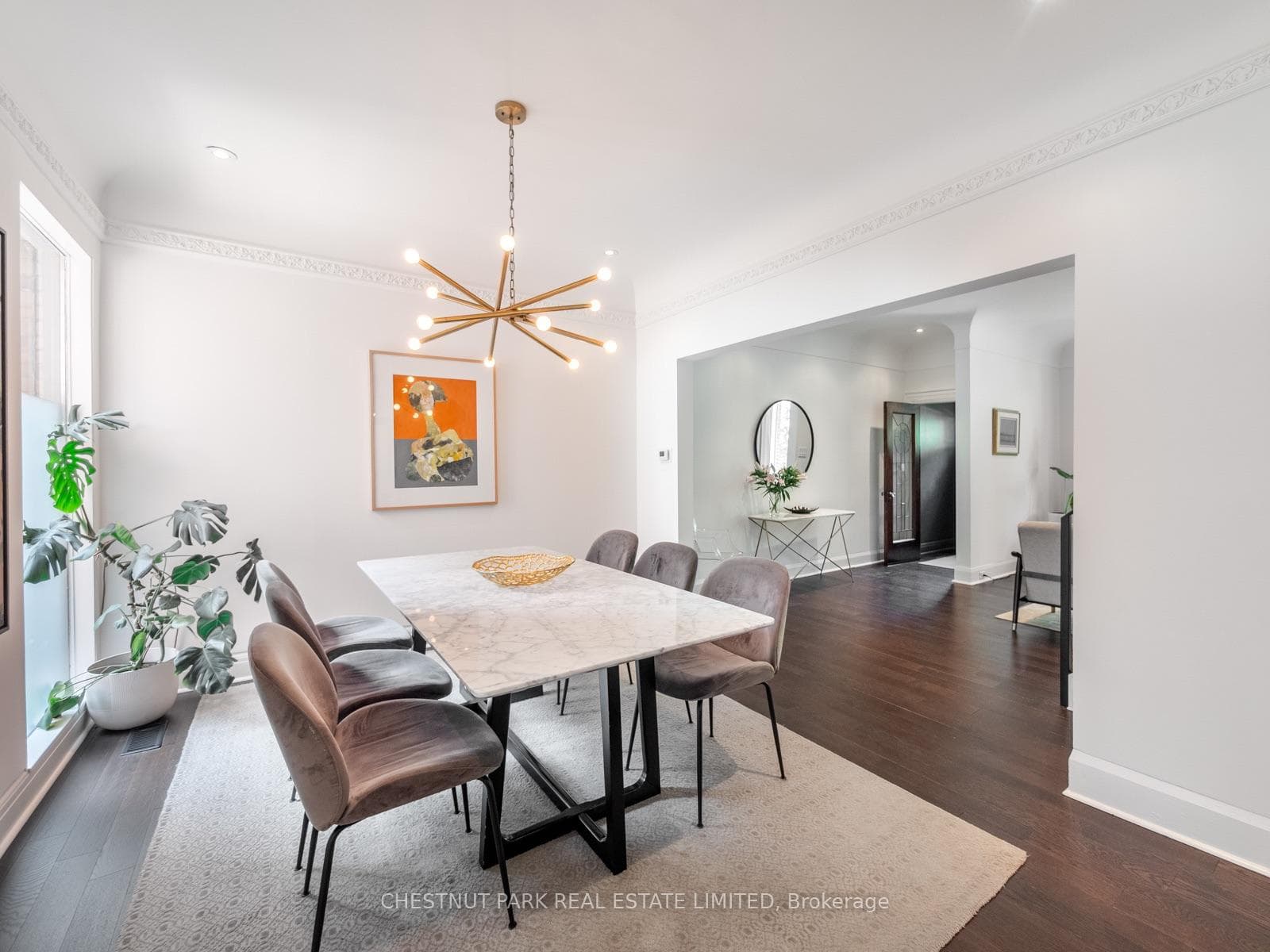 113 Cottingham Street photo 7