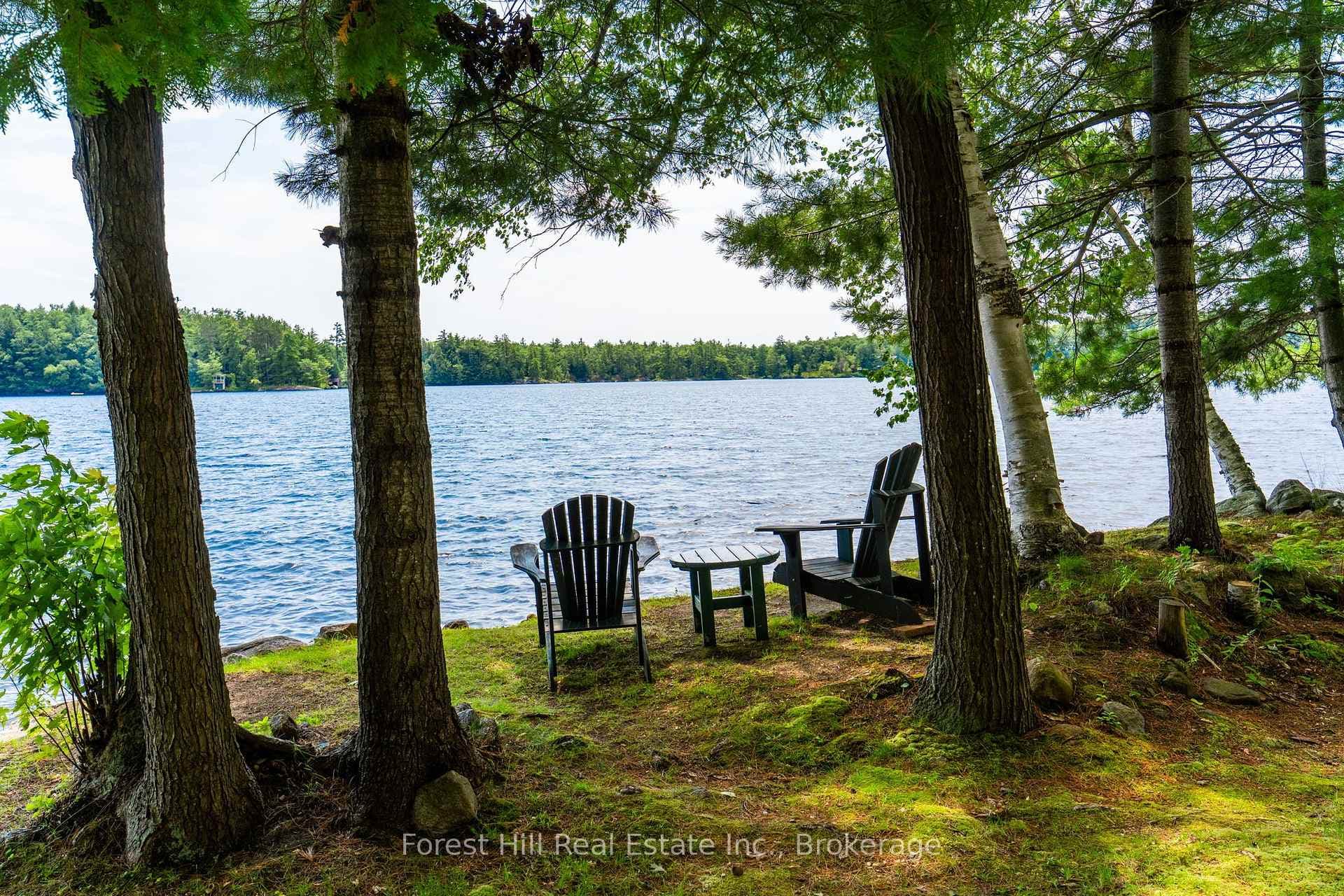 2871 Muskoka Road 169 Road Unit Unit 1 photo 41