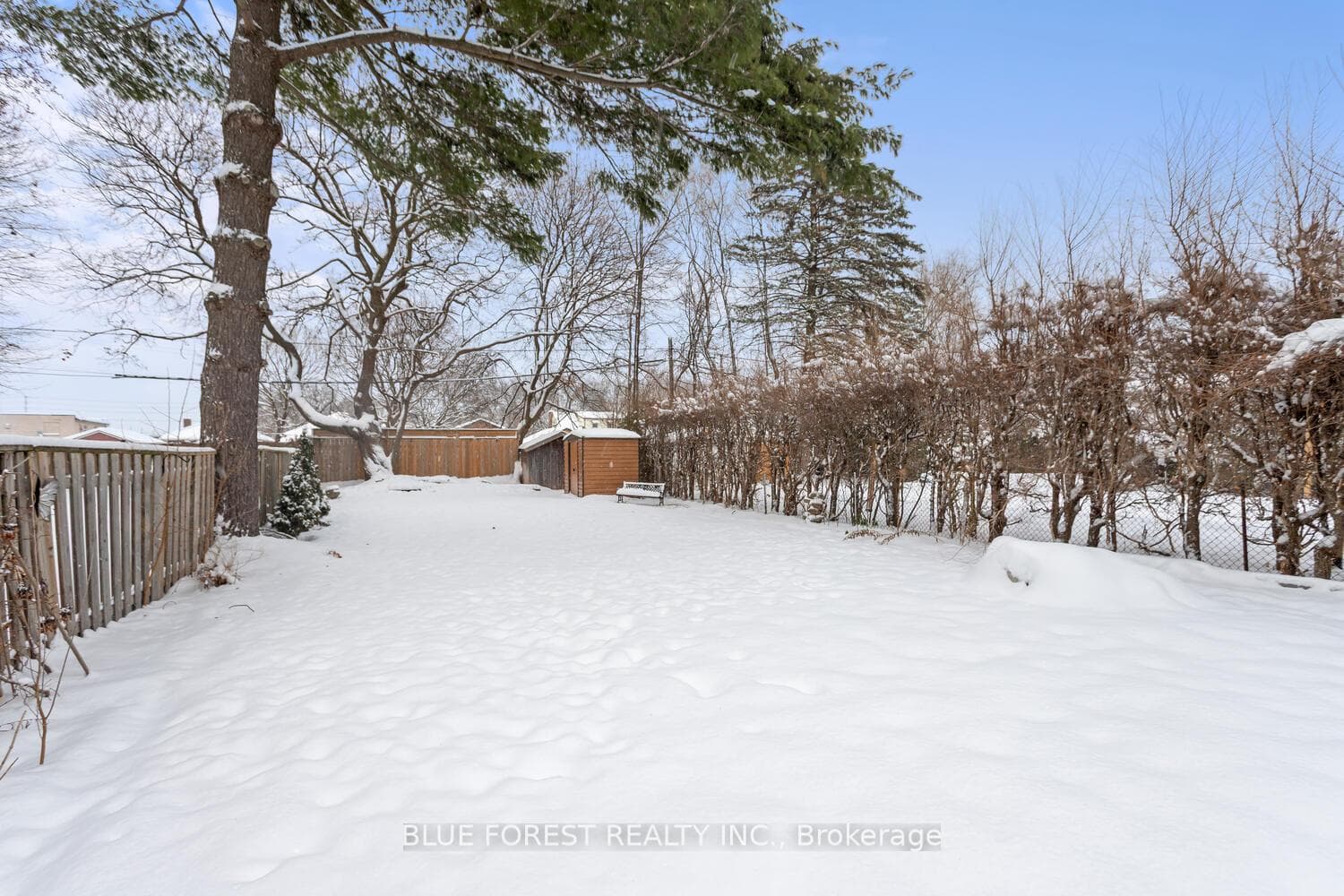 392 Spruce Street photo 41