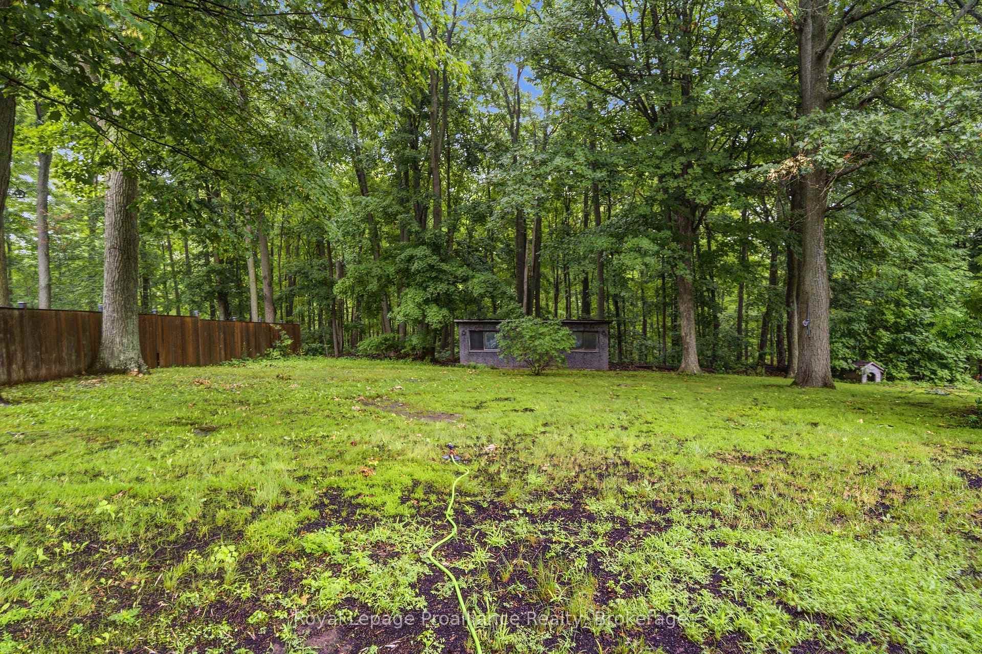 156 Pinehill Crescent photo 42