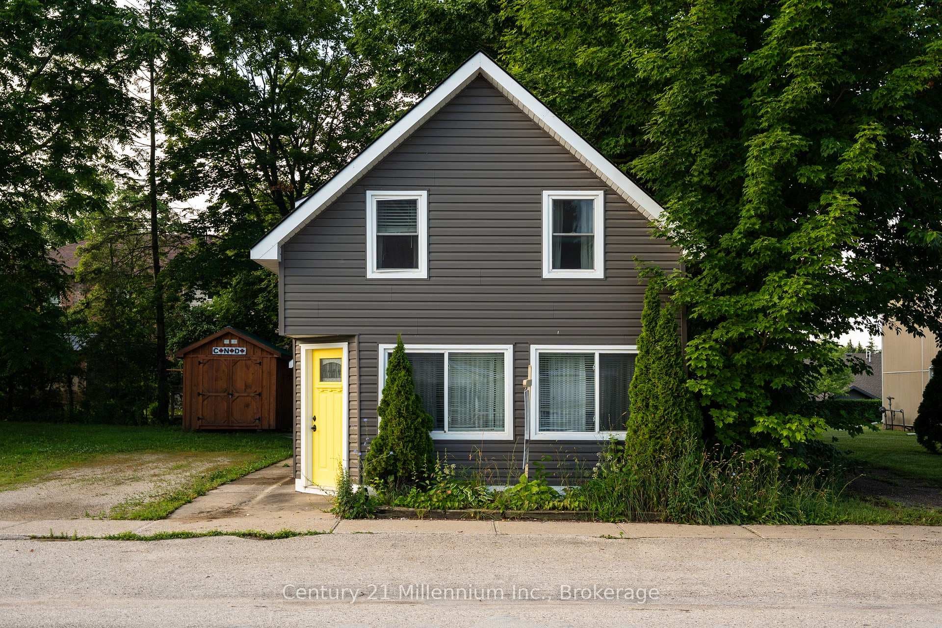 251 William Street photo 1