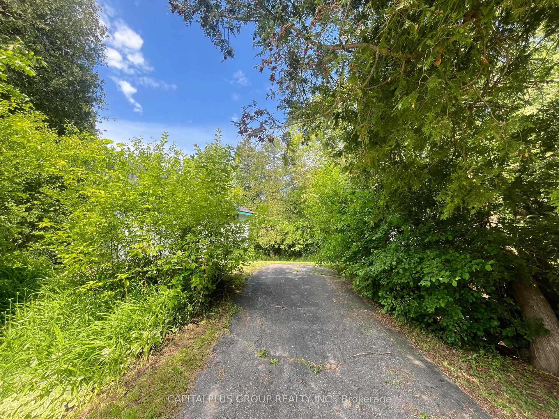 5296 Rice Lake Scnc Dr B N/A photo 14