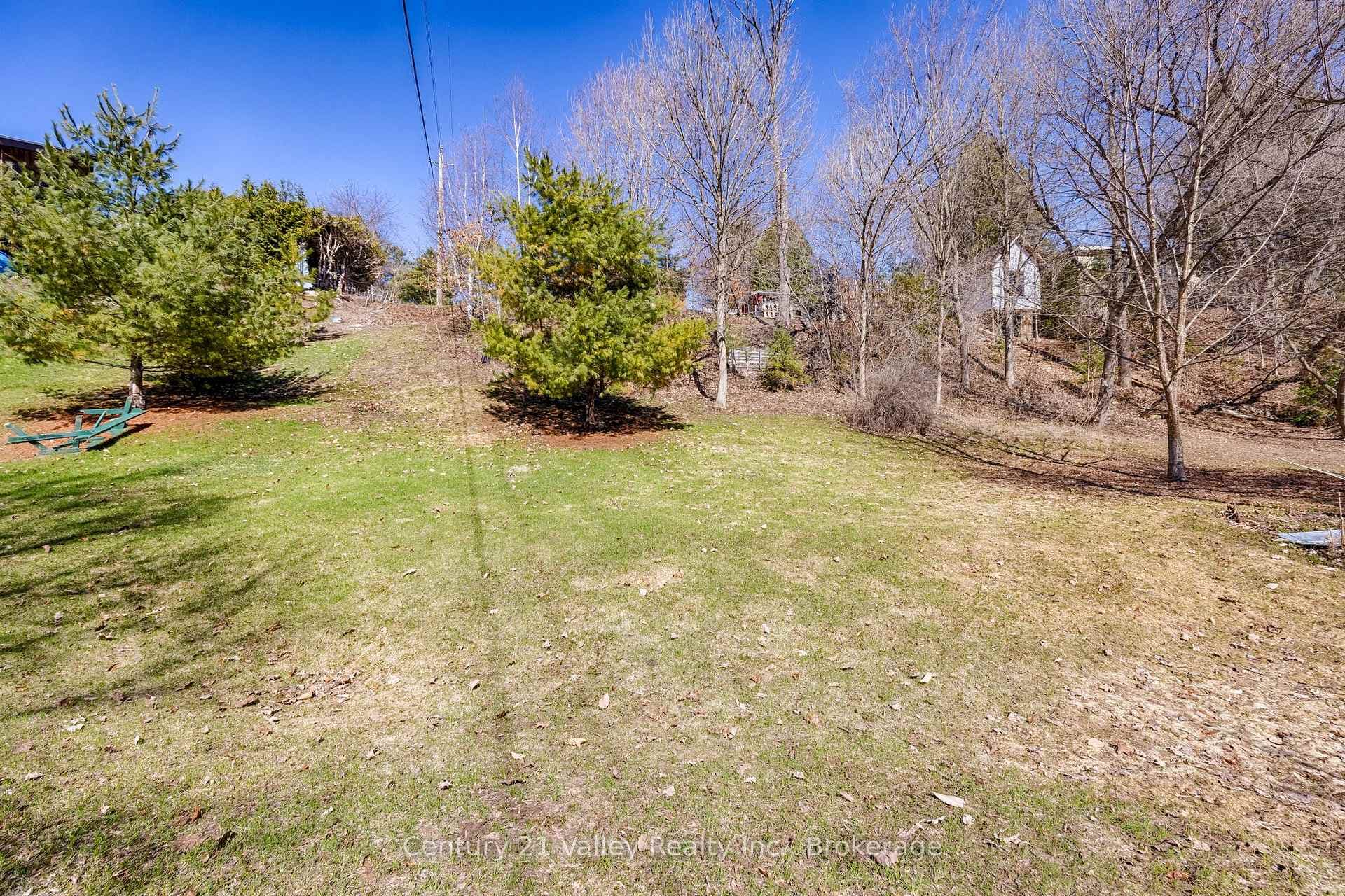 442 Moffat Street photo 6