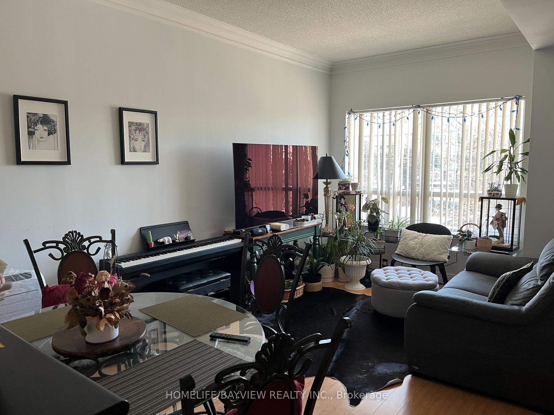 Living and Dining area