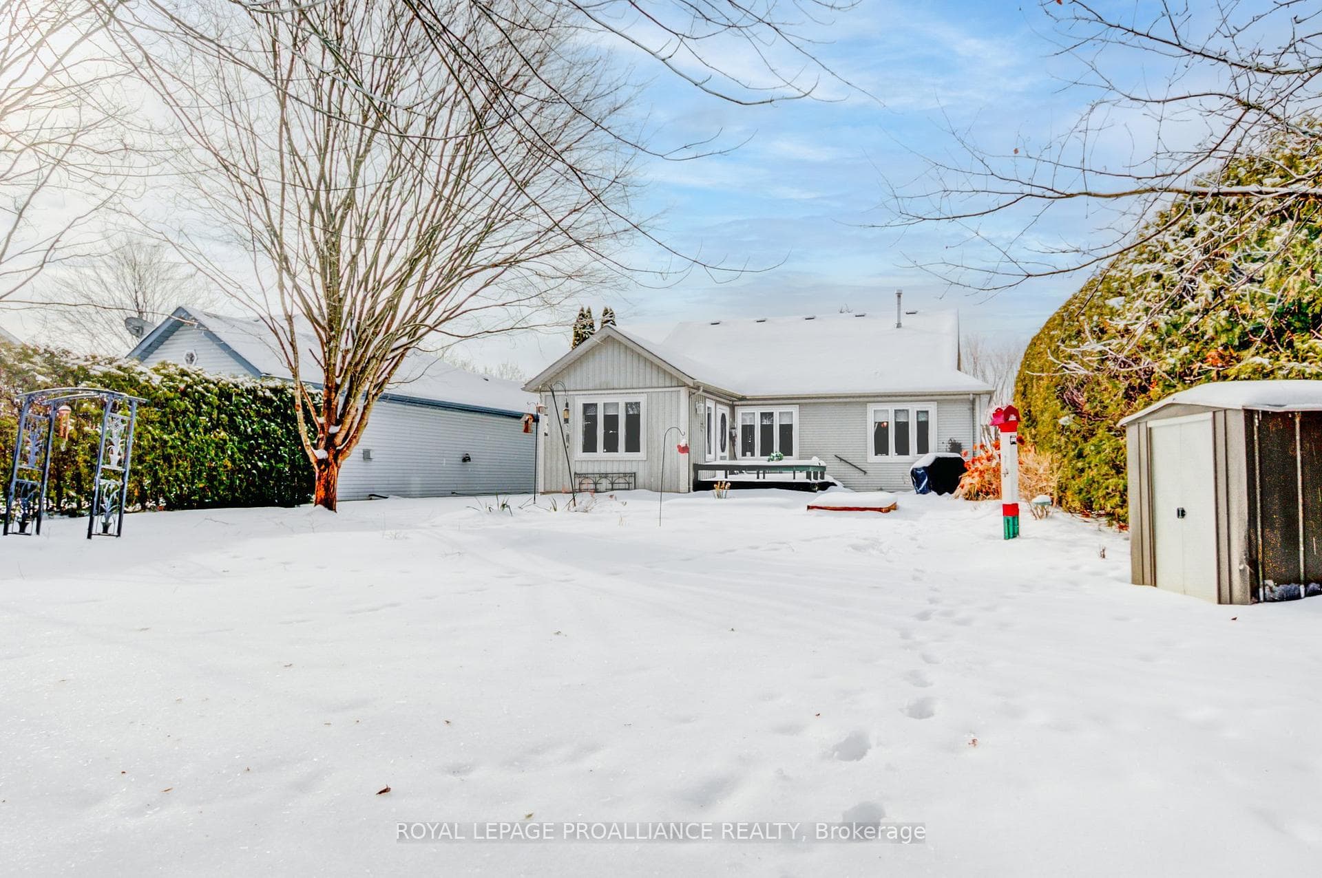 25 Mills Road photo 31
