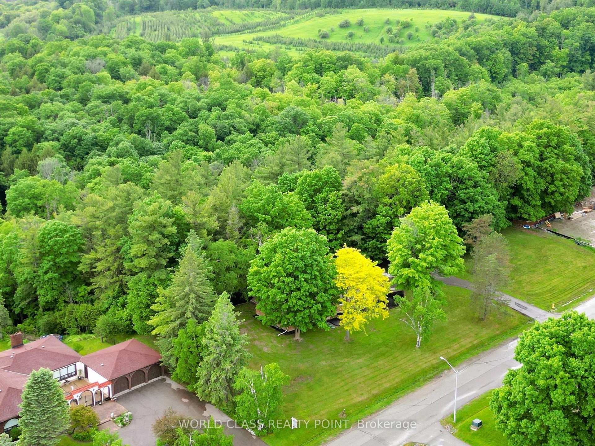 60 Kleins Ridge photo 2