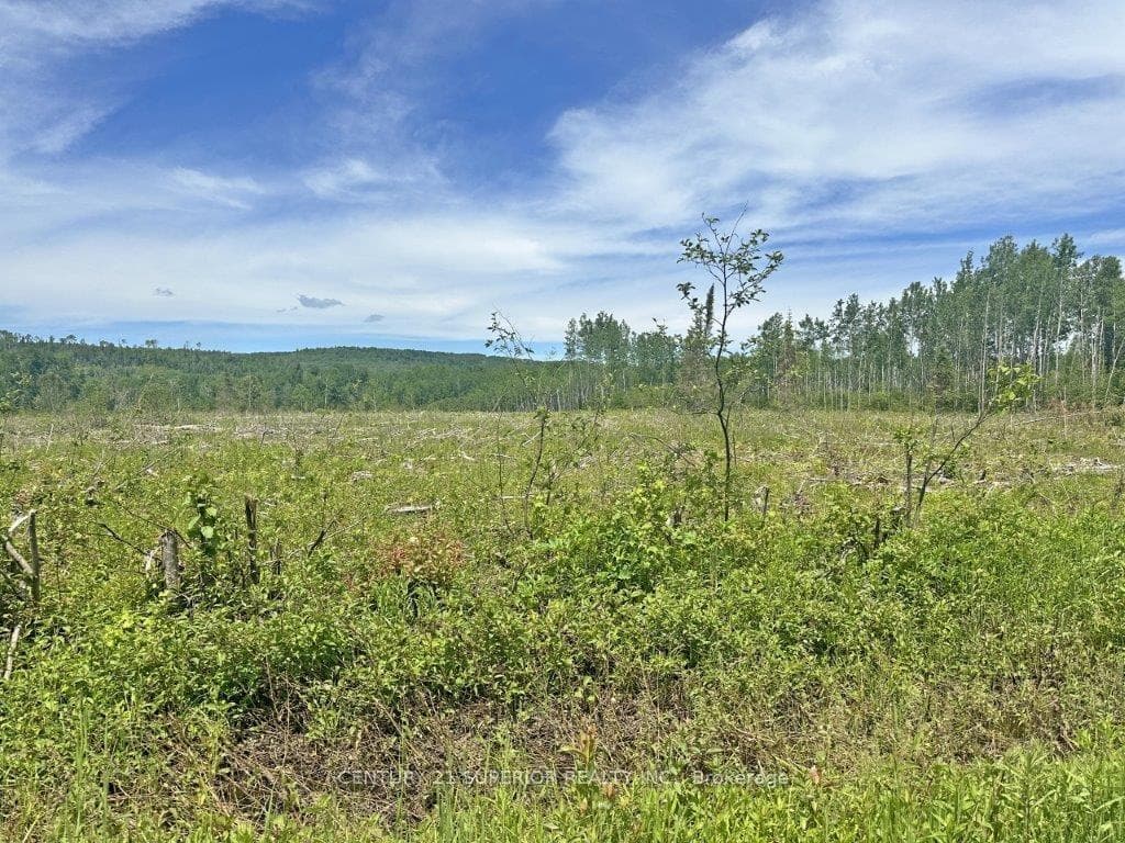 Part 1 Larson Road photo 15