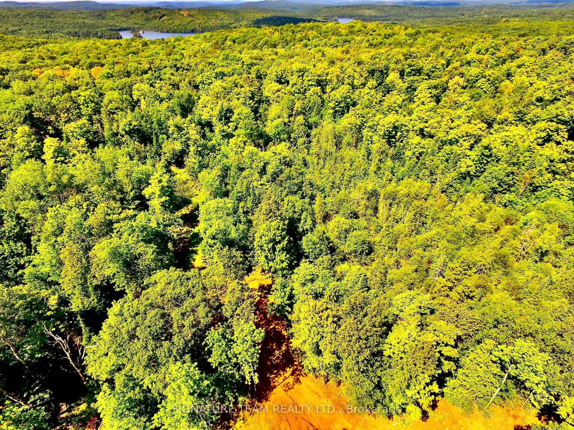0 Nordic Lane photo 12