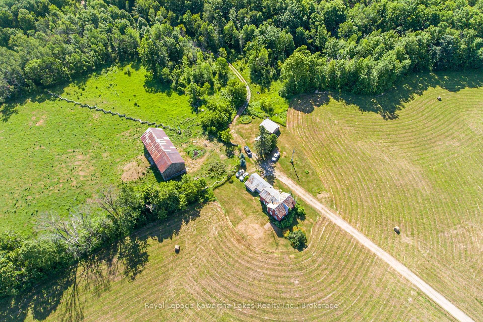 164 Sugar Bush Road photo 6
