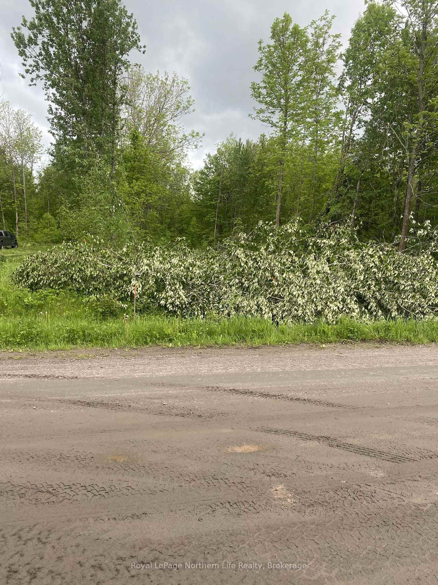 Lot 1 Stevens Road photo 3