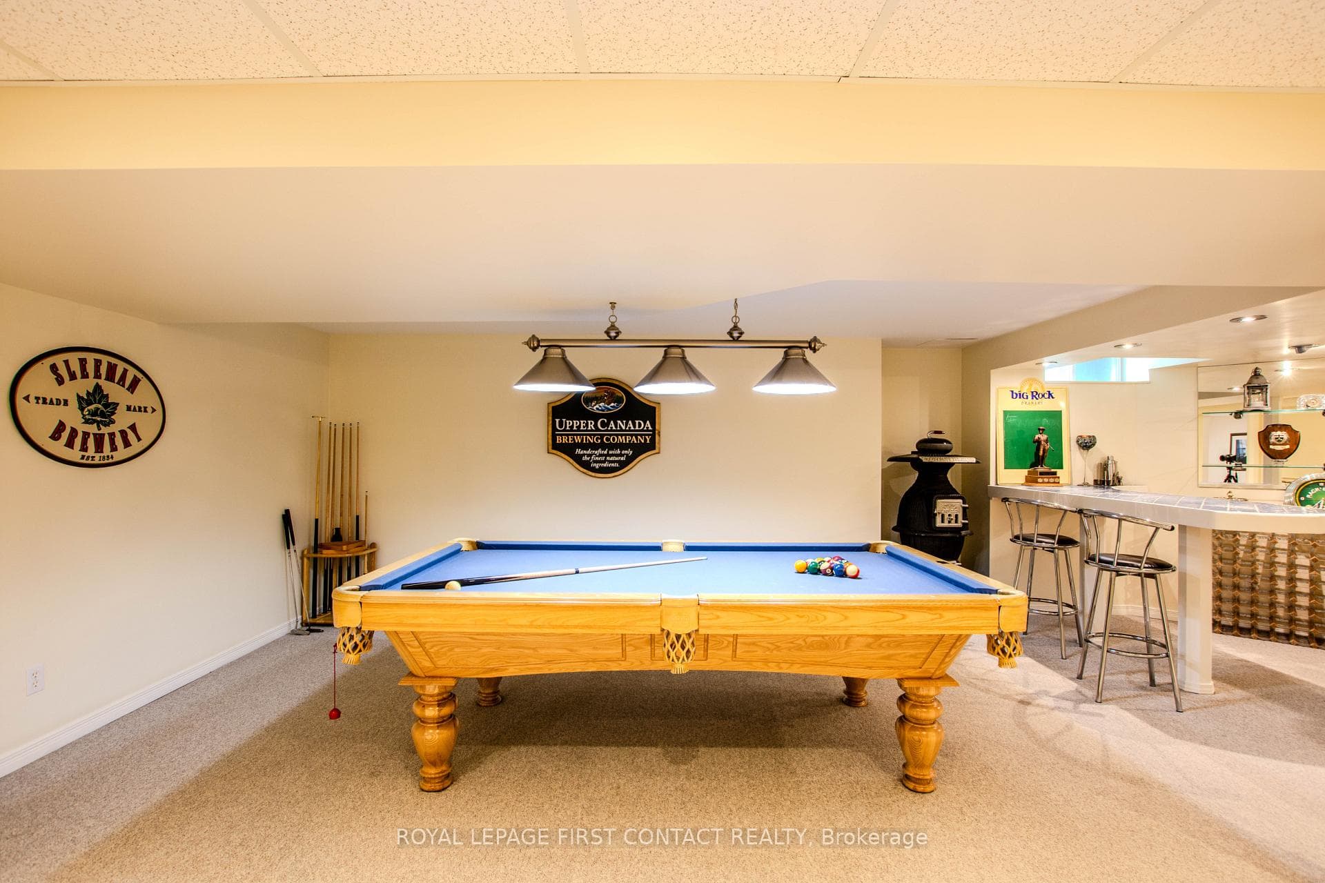 20 McVeigh Drive photo 41
