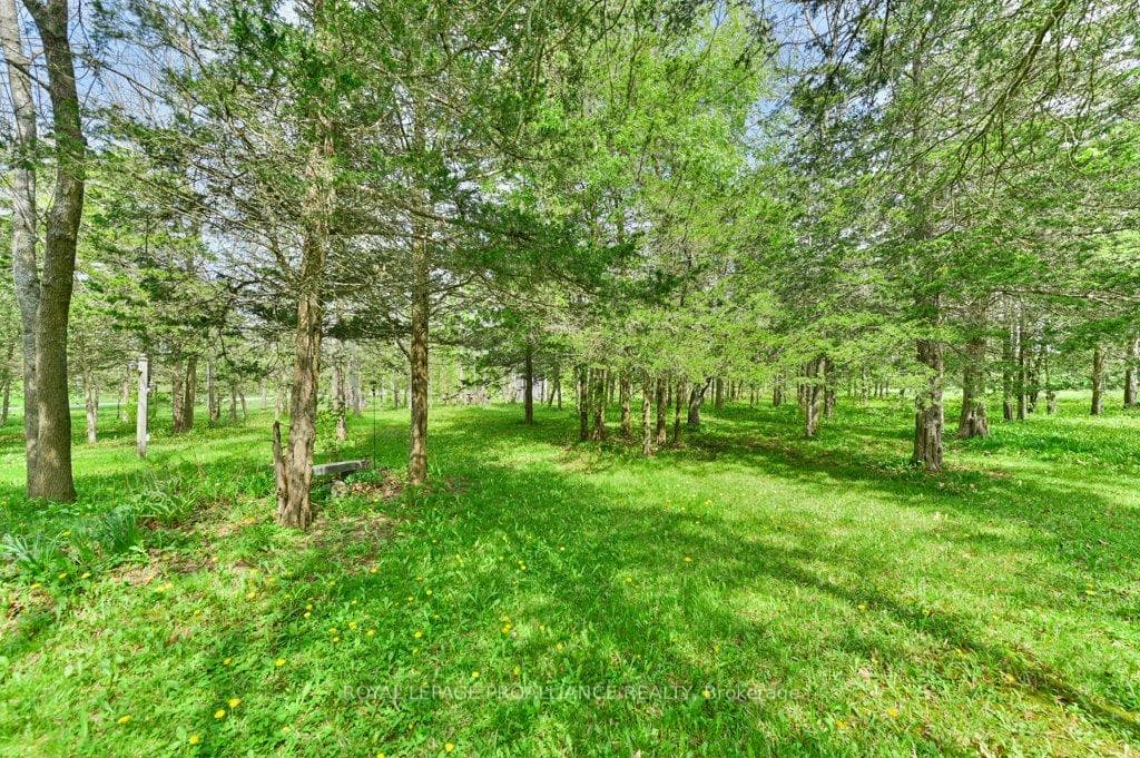 370 Cunningham Road photo 28