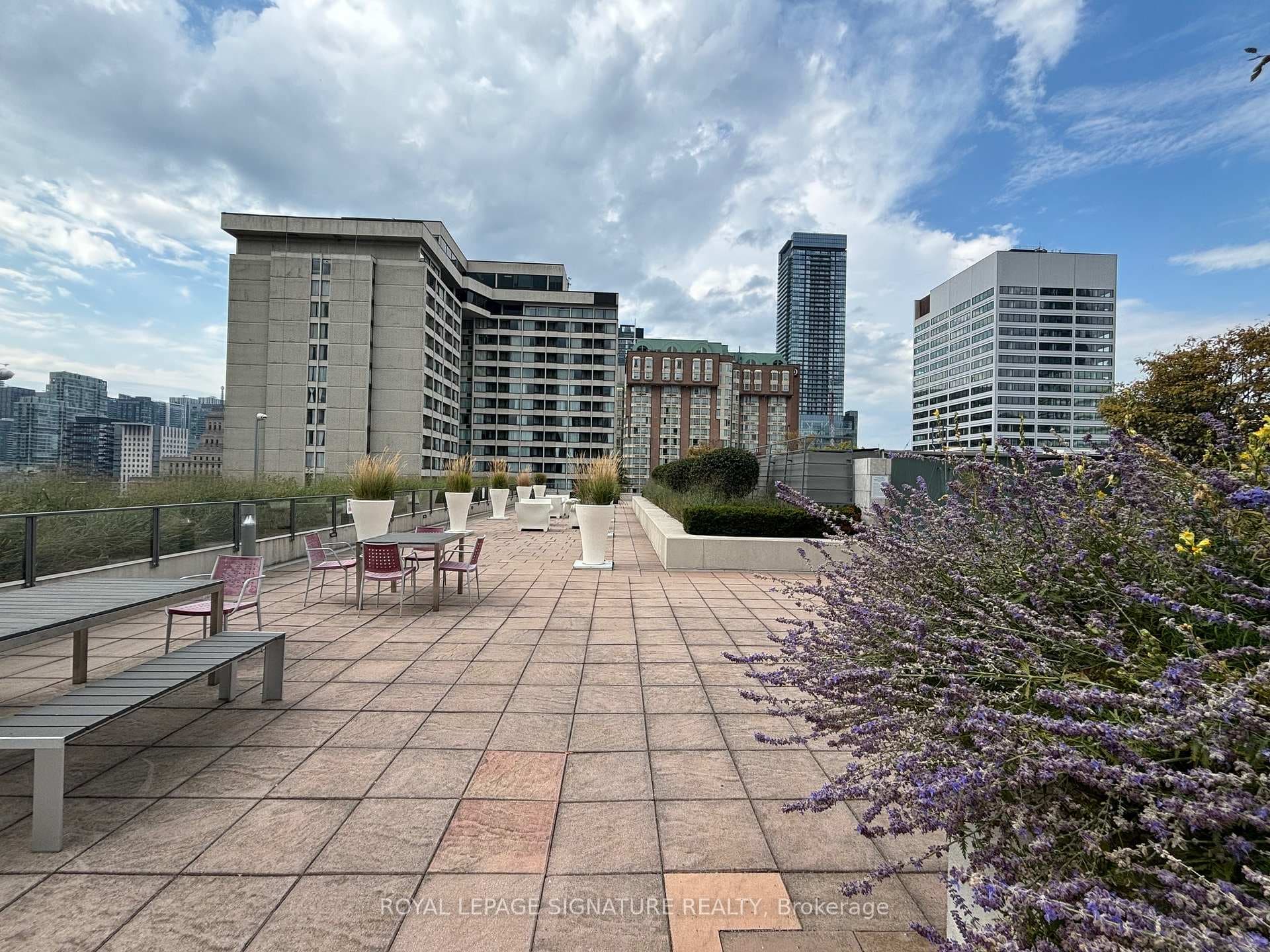 ROOF TOP TERRACE