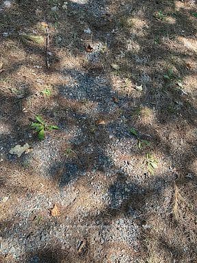 2875 County Road 21 Road photo 20