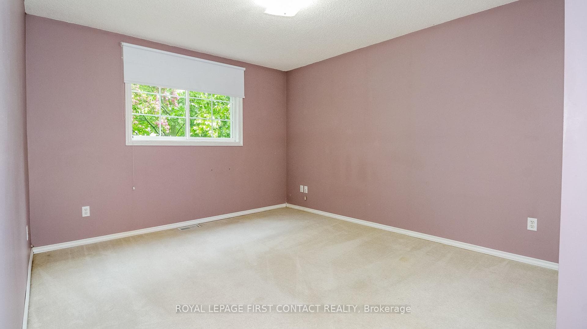401 Mary Street photo 21