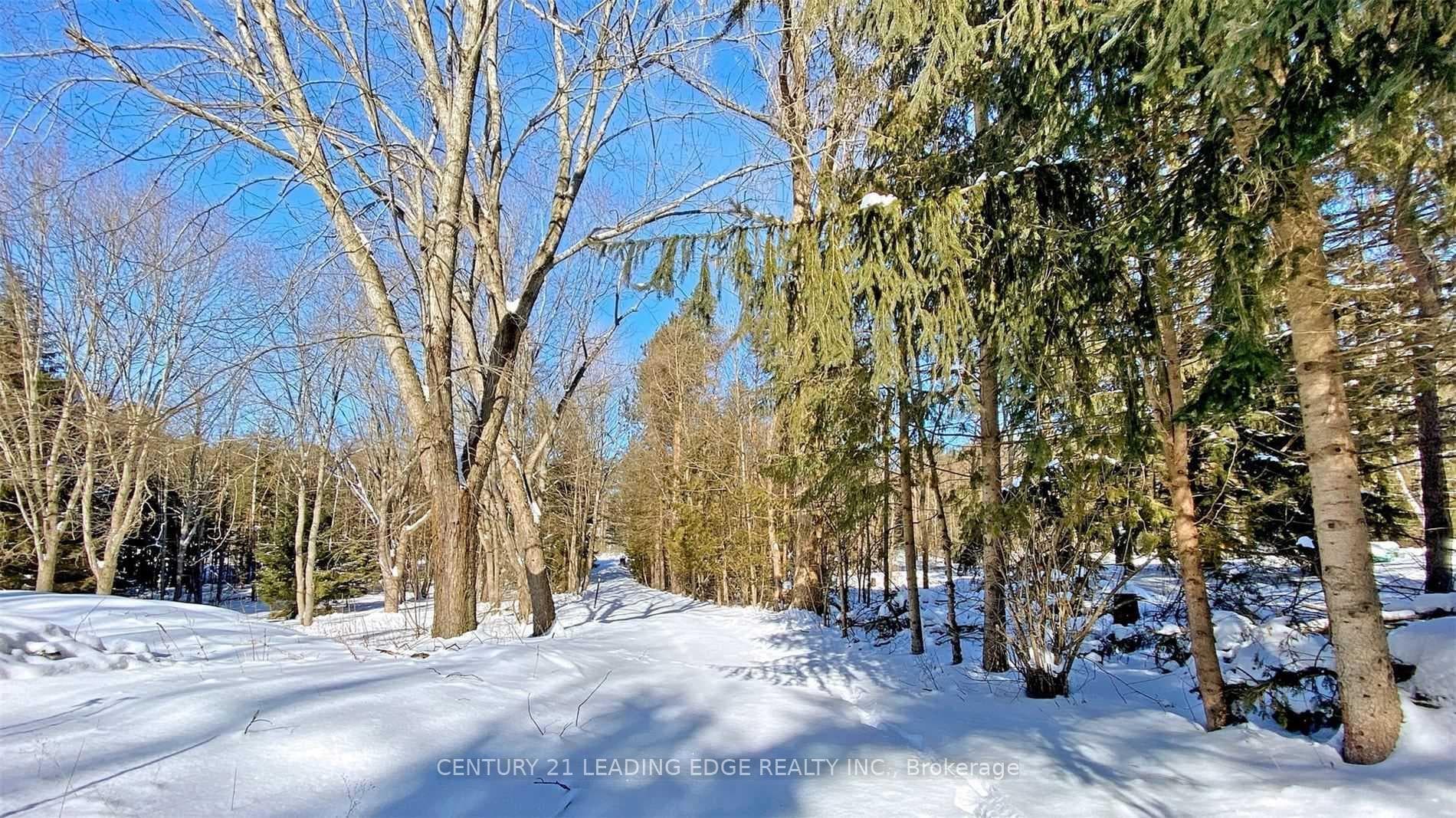 4035 Aurora Road photo 21