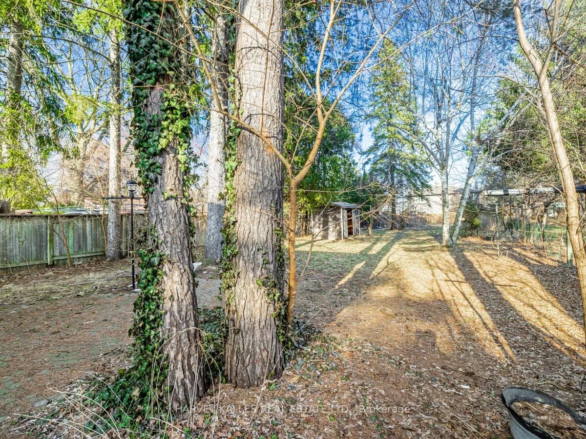 151 Henderson Avenue photo 19