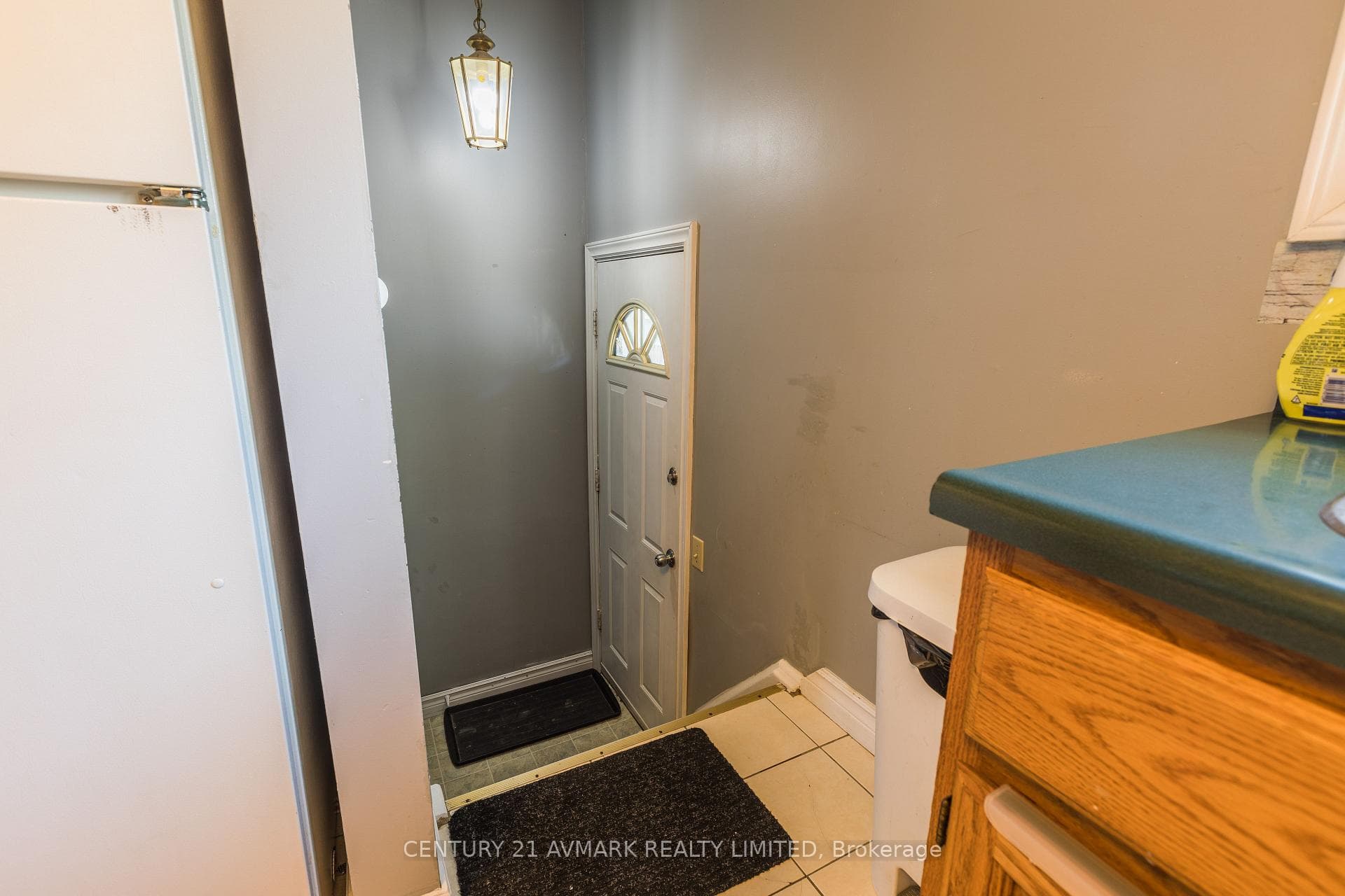 29 Lillian Street photo 18