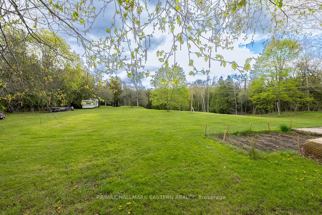 59 Dranoel Drive photo 28