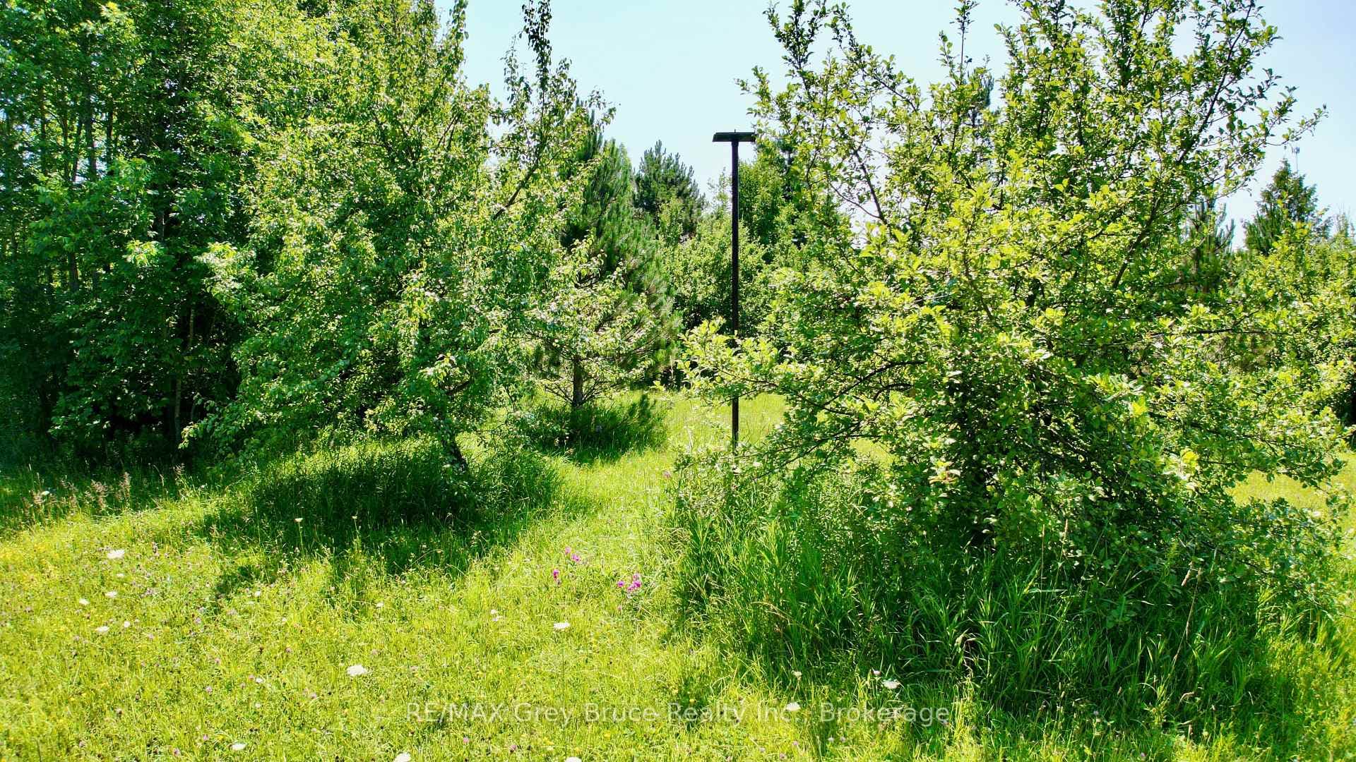 Part 1 & 2 Purple Valley Road photo 18