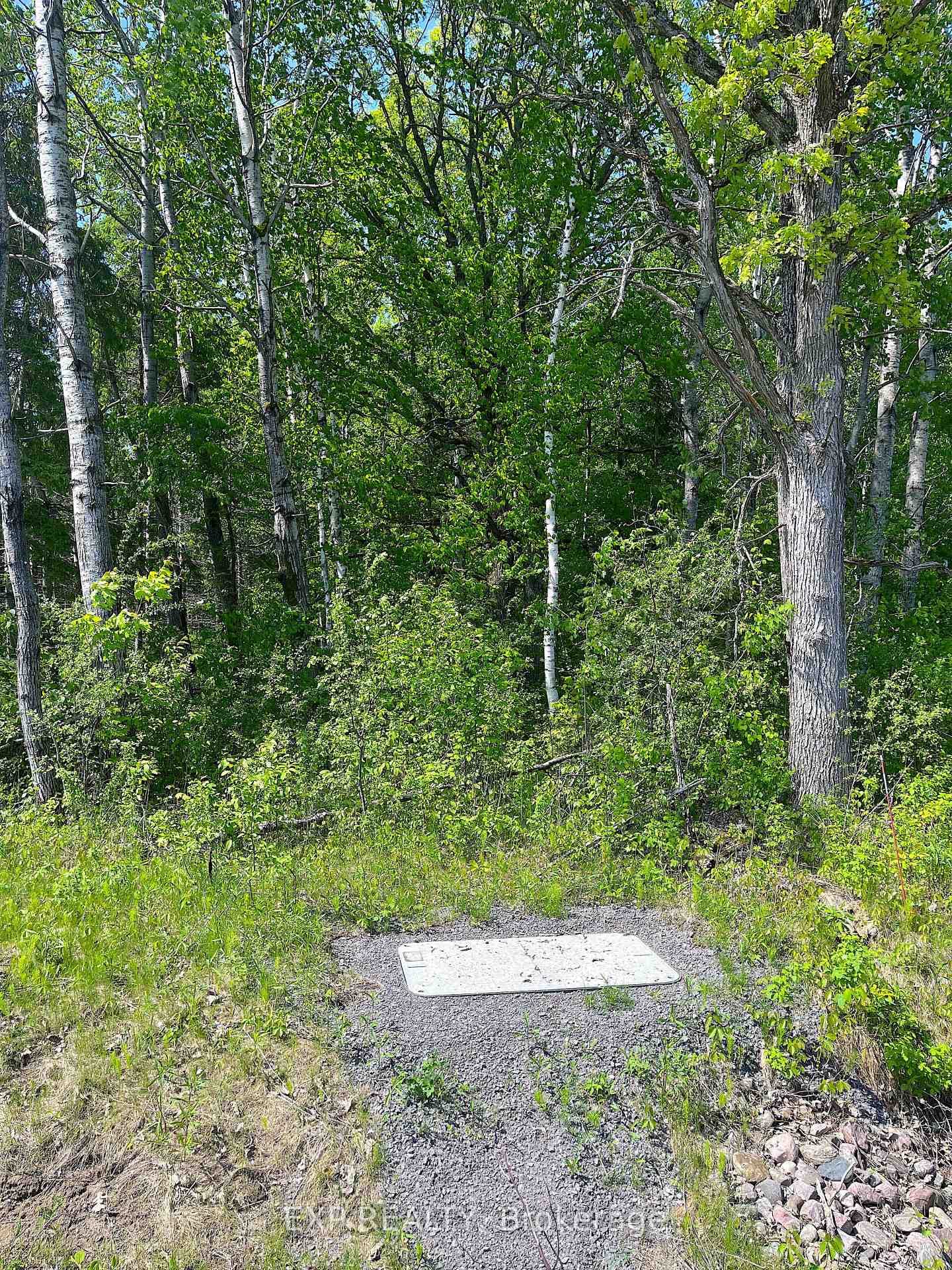 00 Johnston Road photo 3