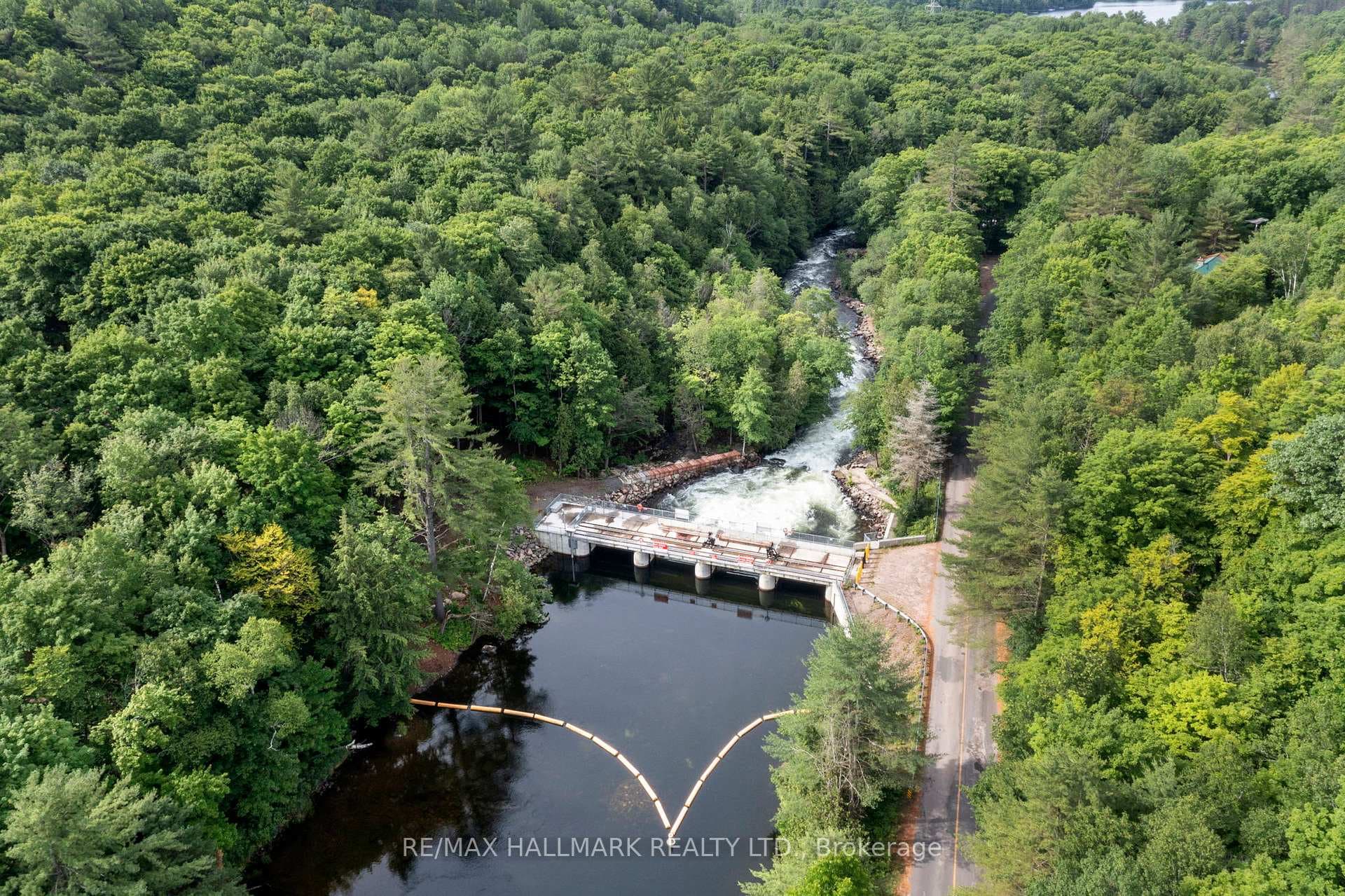 1035 Cricket Trail photo 35