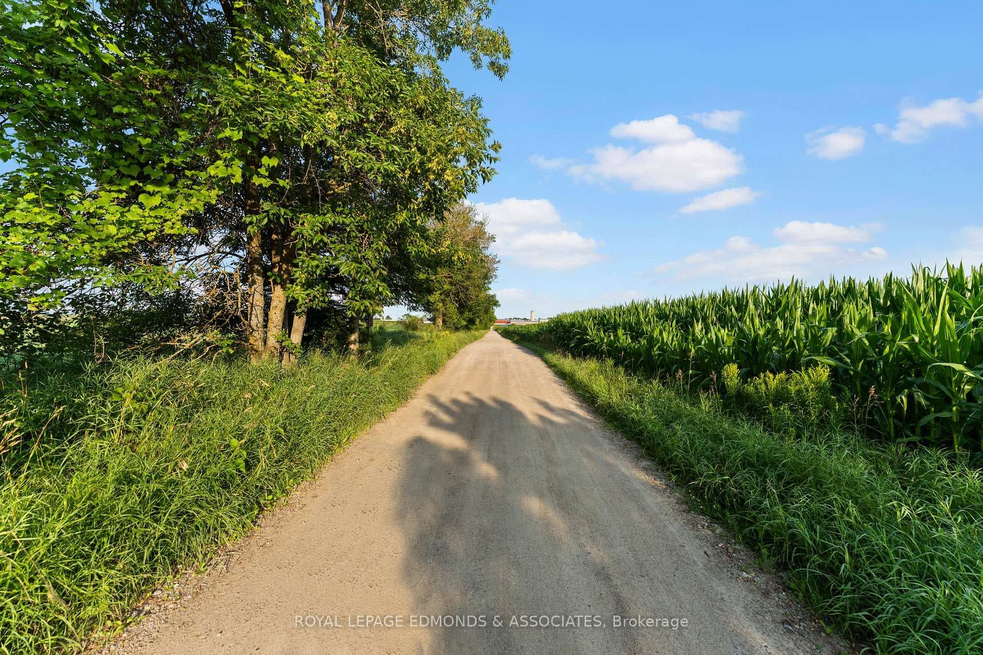 107 Purple Finch Trail photo 14