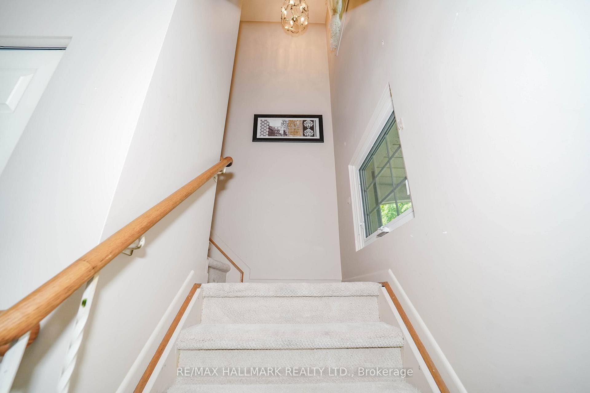 14 Castledene Crescent photo 20