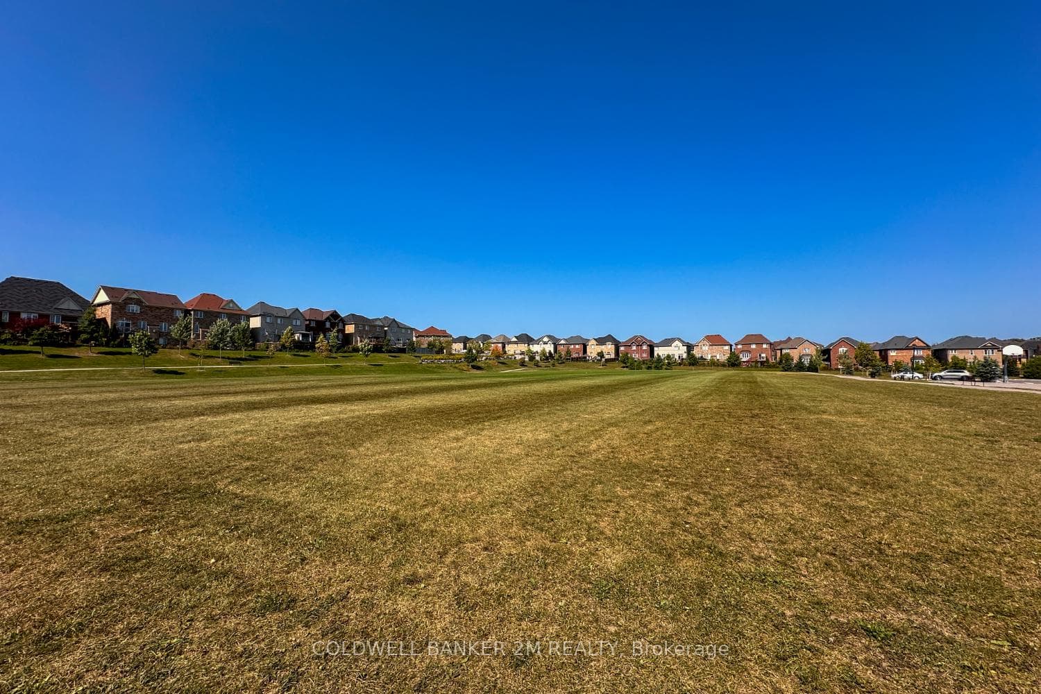 83 Luce Drive photo 35