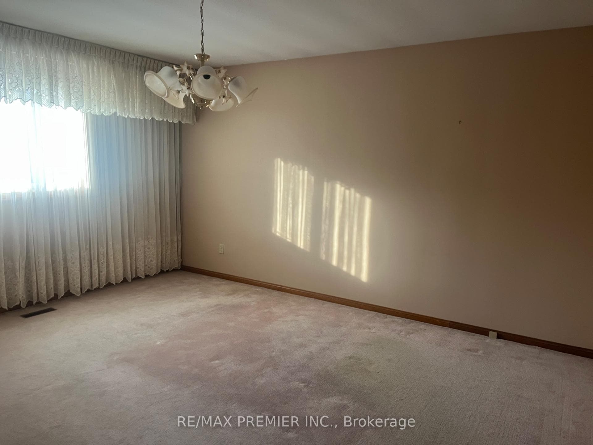 116 Jeanne Drive photo 7