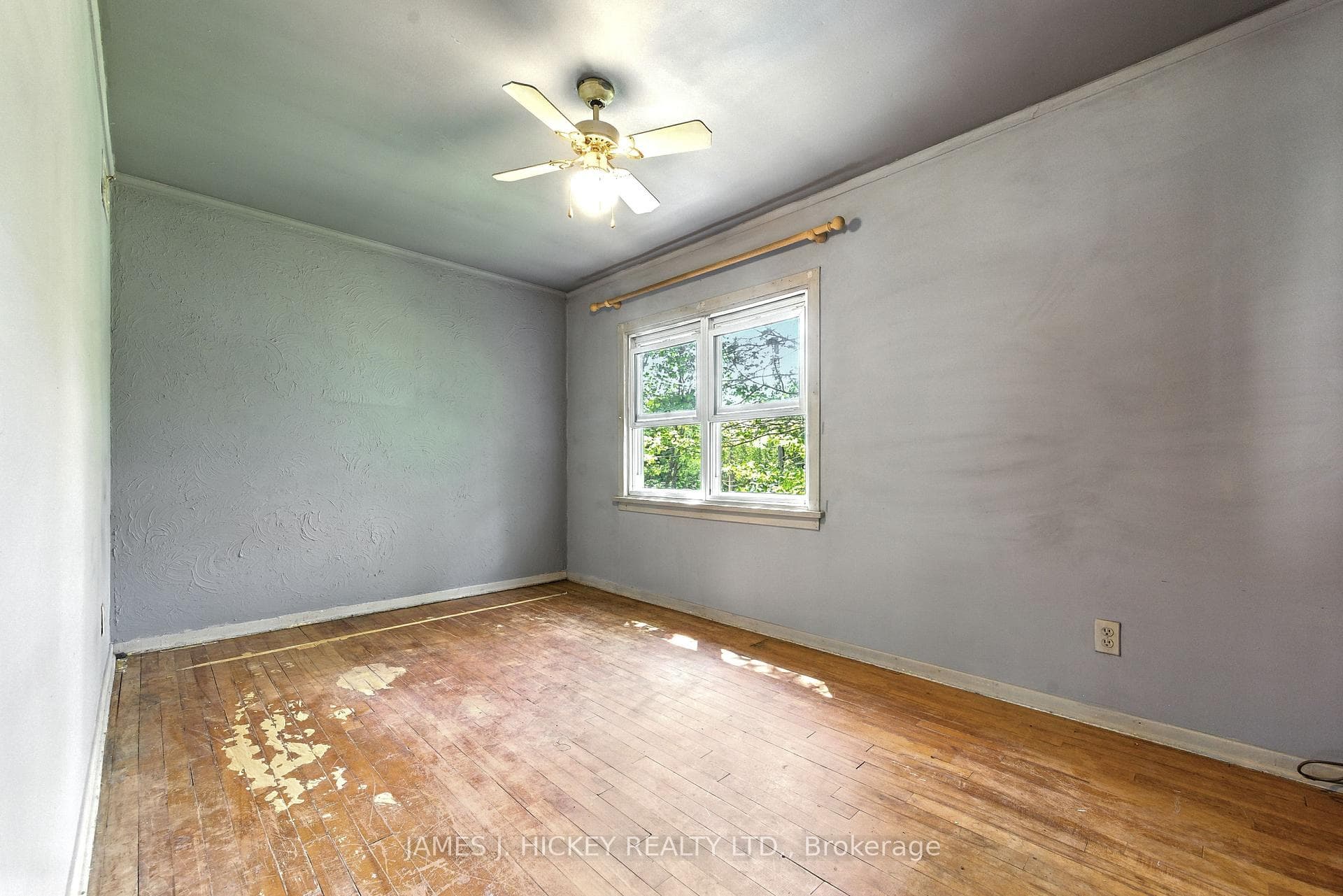 123 Algonquin Street photo 23