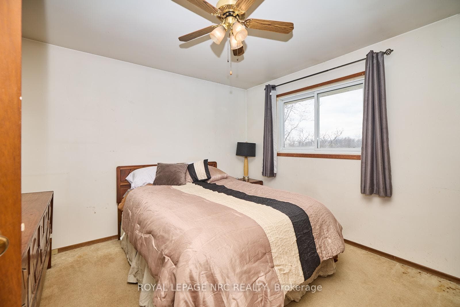 3860 Elm Street photo 19