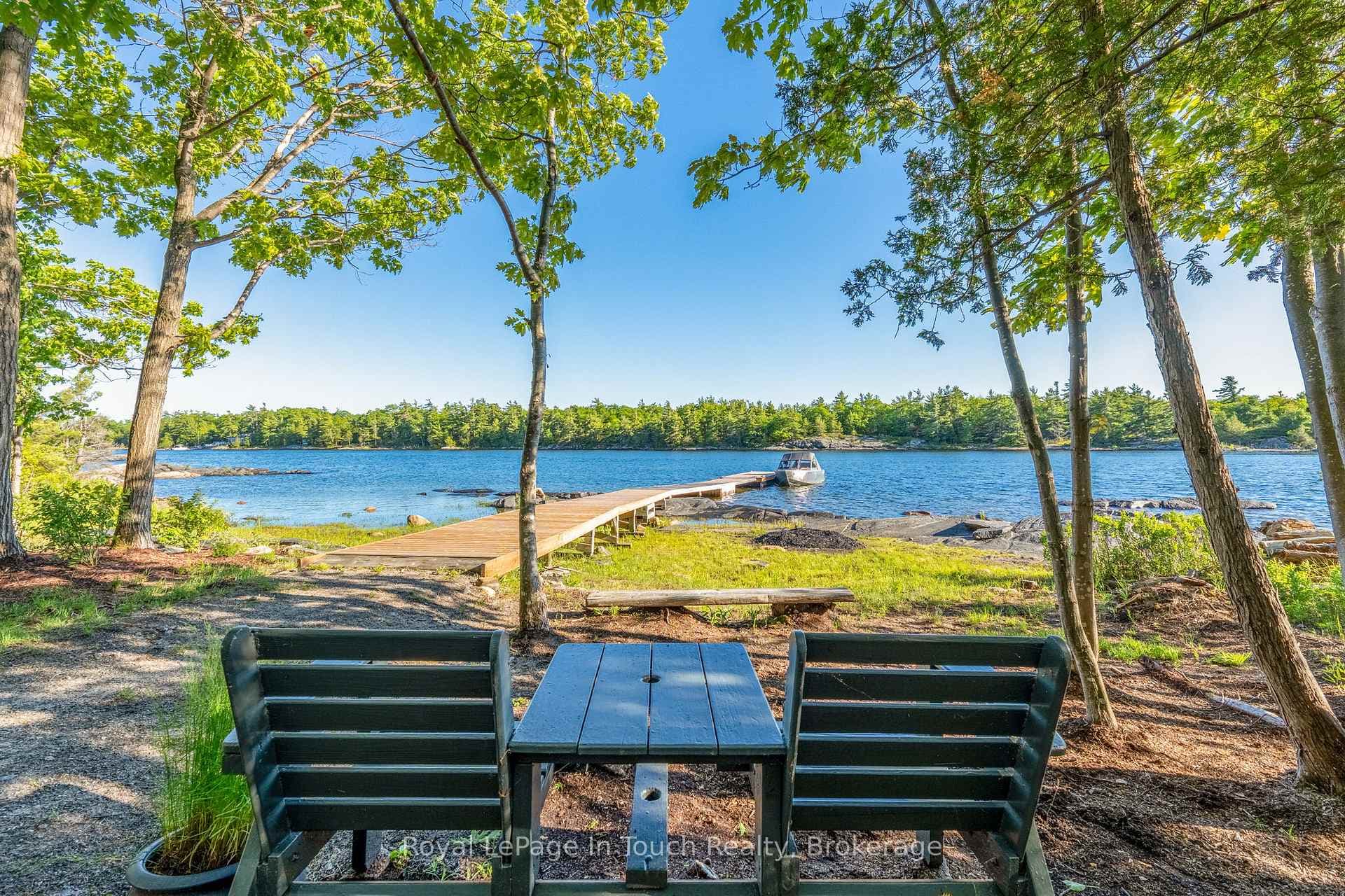 Serene setting at shoreline