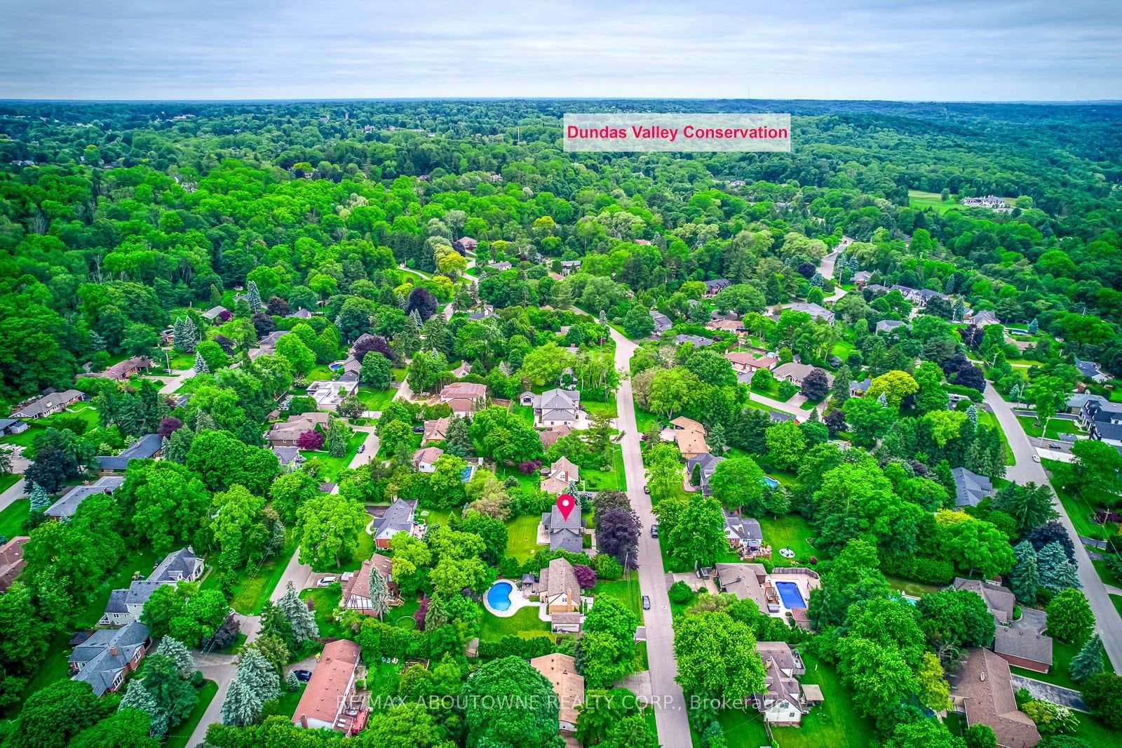 818 Haig Road photo 5
