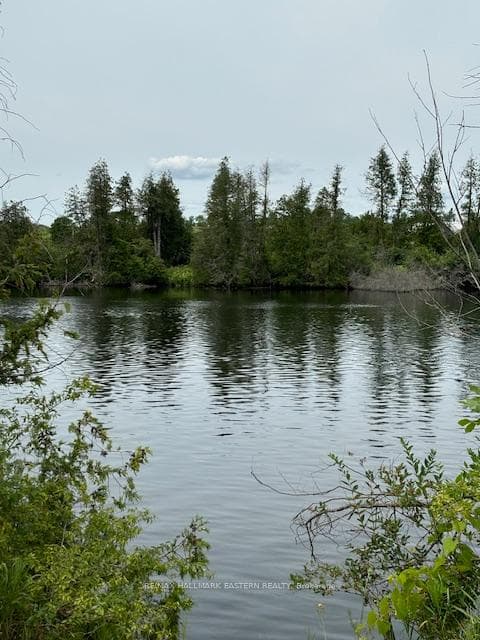 4071 County Road 32 N/A photo 40