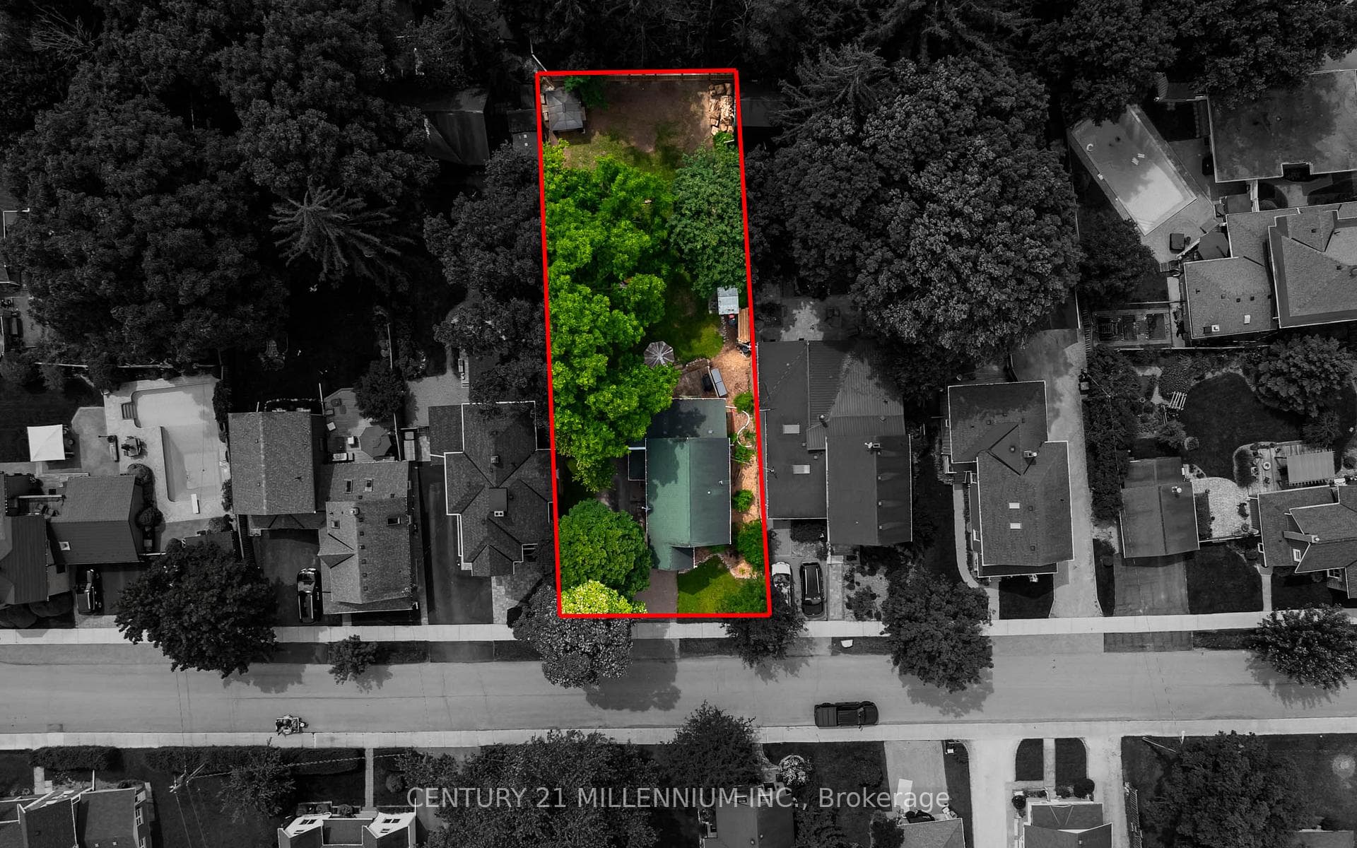 20 Alexander Street photo 40