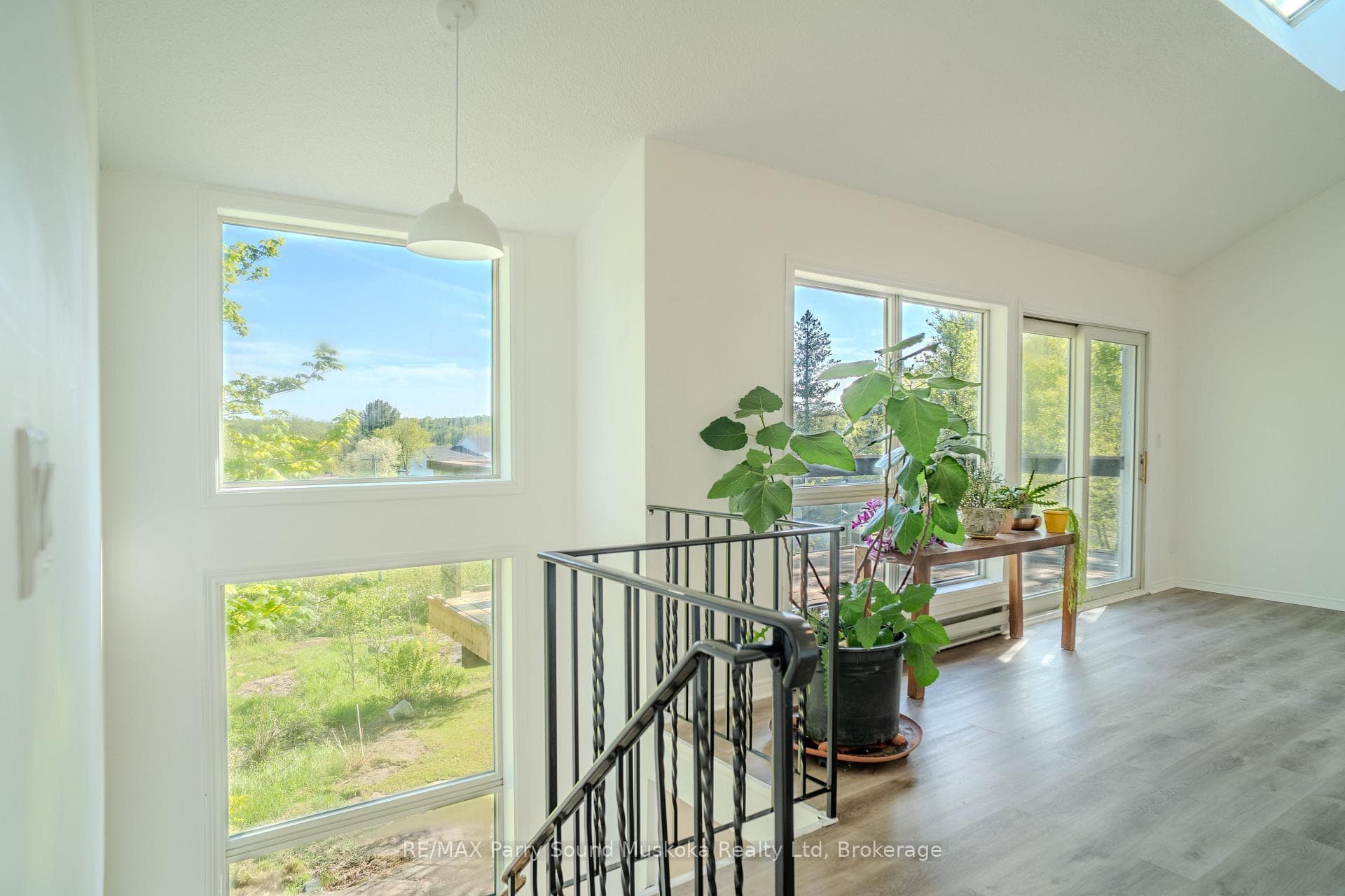 17 Harriet Street photo 13